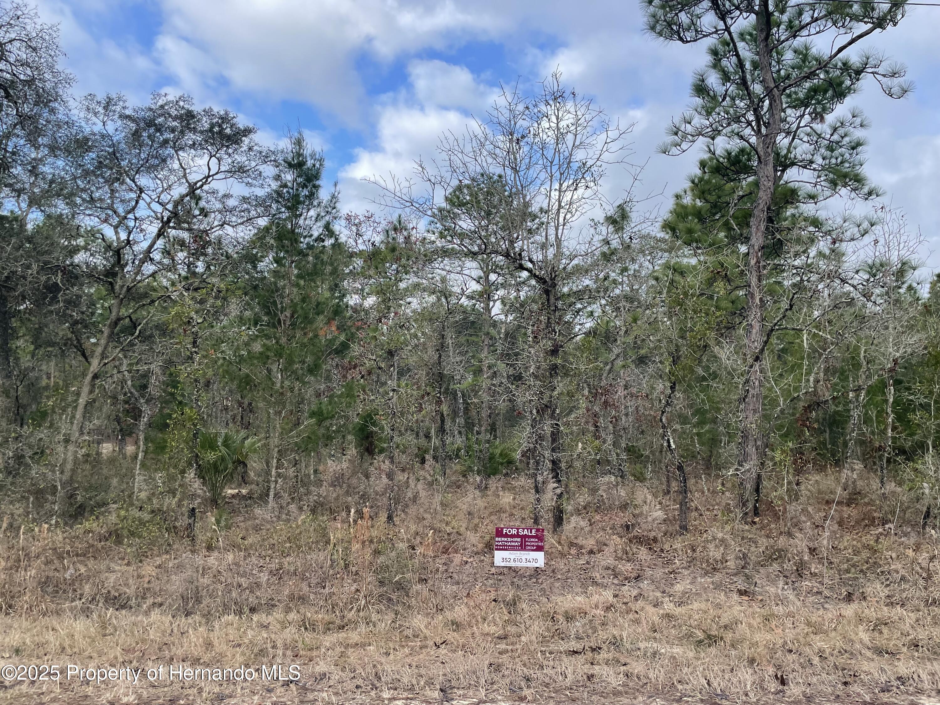 Weeki Wachee, Florida 34614, United States, ,Land,Pending,12879 Weeki Wachee, Florida 34614, United States, ,Land,Pending,12879