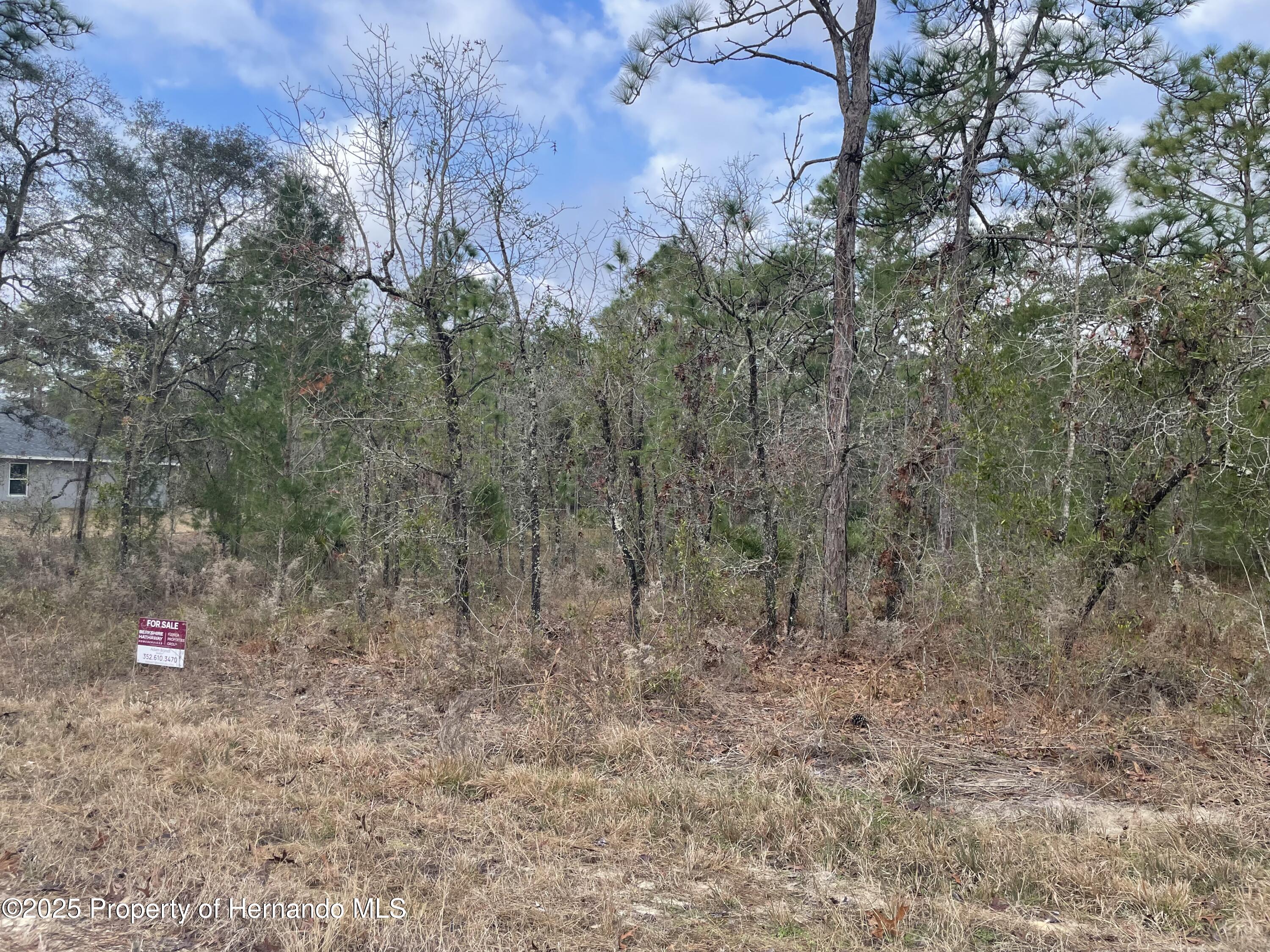 Weeki Wachee, Florida 34614, United States, ,Land,Pending,12879