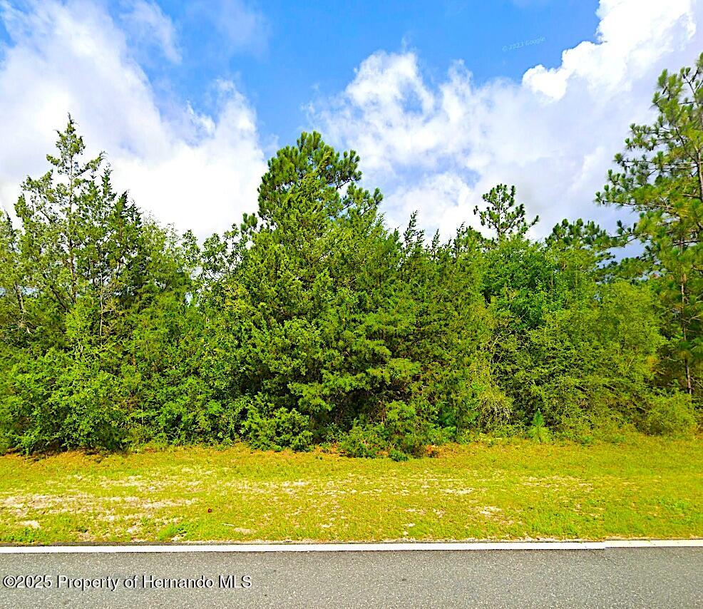 00 Fairview Road, Alford, Florida image 1
