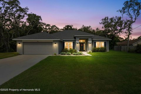 Homes For Sale - 463 Trafalgar Lane<br/> Spring Hill, FL 34606