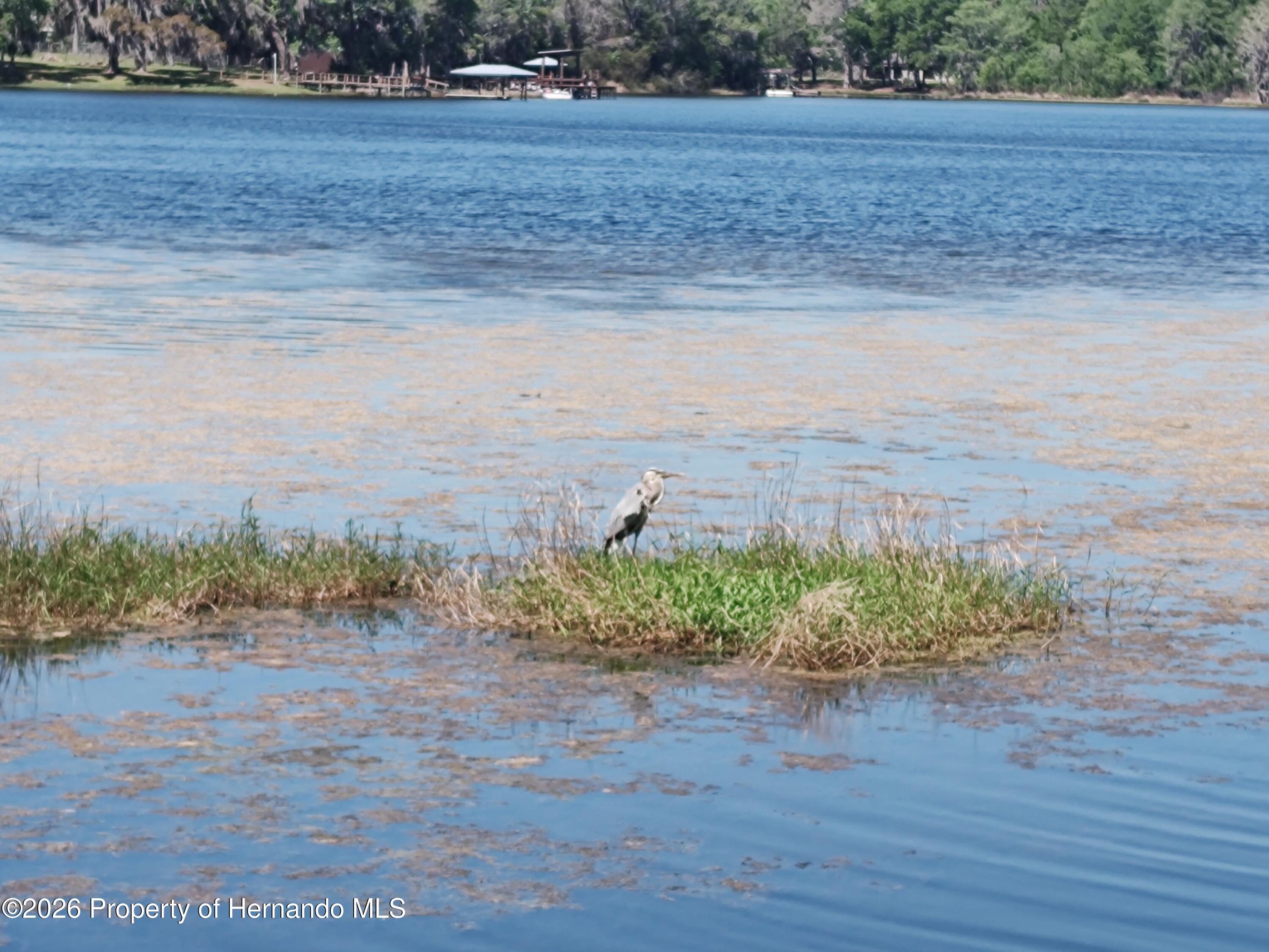 7740 S Shore Acres Point S