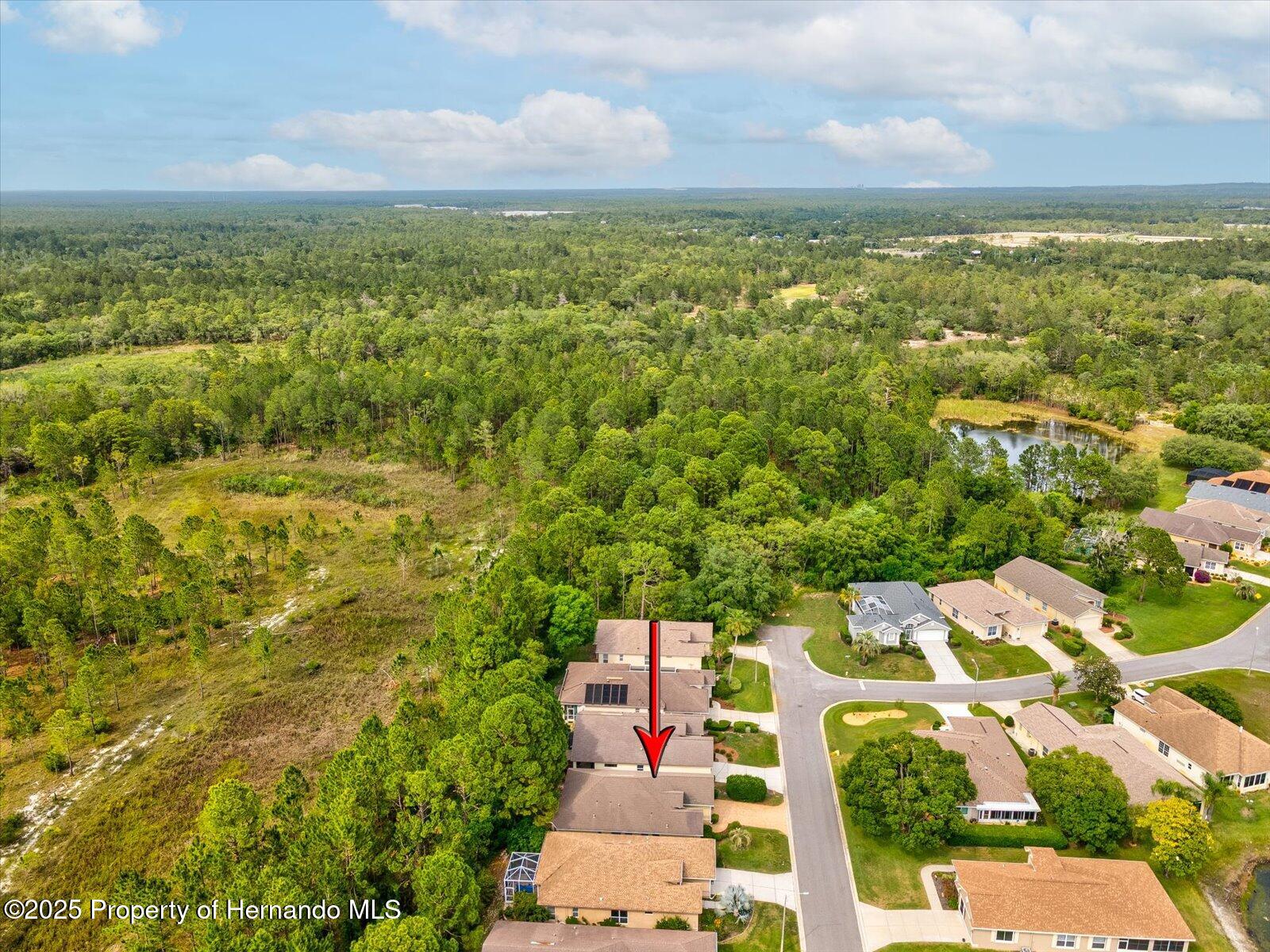 10187 Holly Berry Drive, Weeki Wachee, Florida image 41