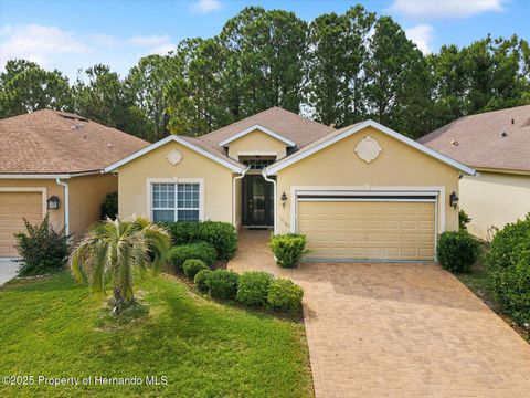 Homes For Sale - 10187 Holly Berry Drive<br/> Weeki Wachee, FL 34613