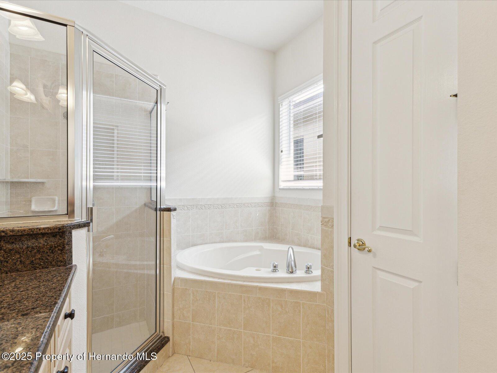 10187 Holly Berry Drive, Weeki Wachee, Florida image 23