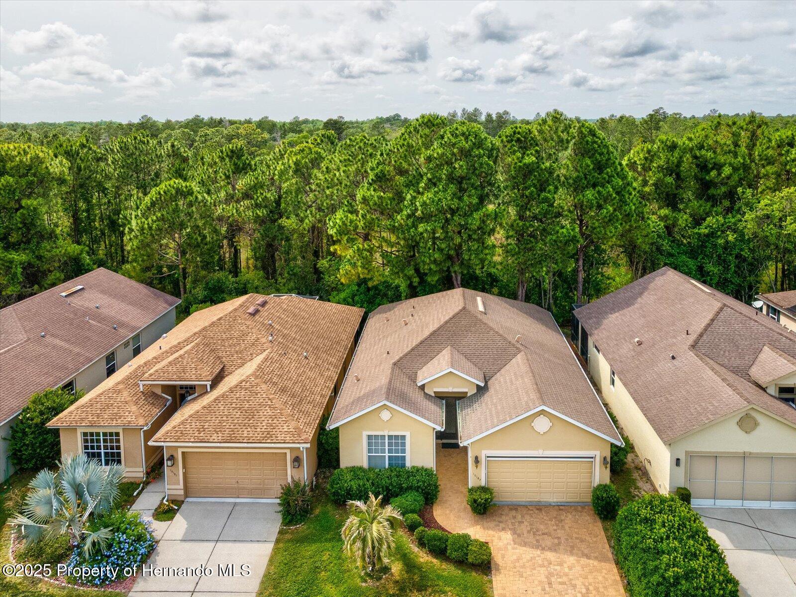 10187 Holly Berry Drive, Weeki Wachee, Florida image 43