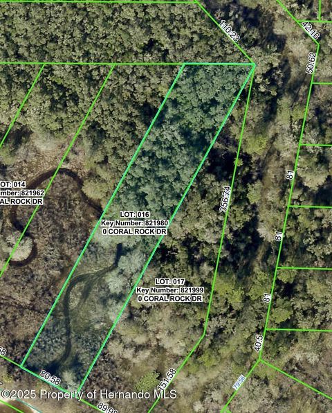 Vacant Land For Sale - Coral Rock Drive<br/> Webster, FL 33597