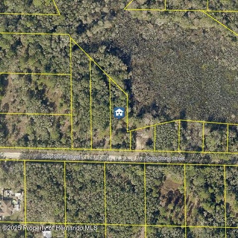 Vacant Land For Sale - LOT 37 Soap Stone St<br/> Webster, FL 33597