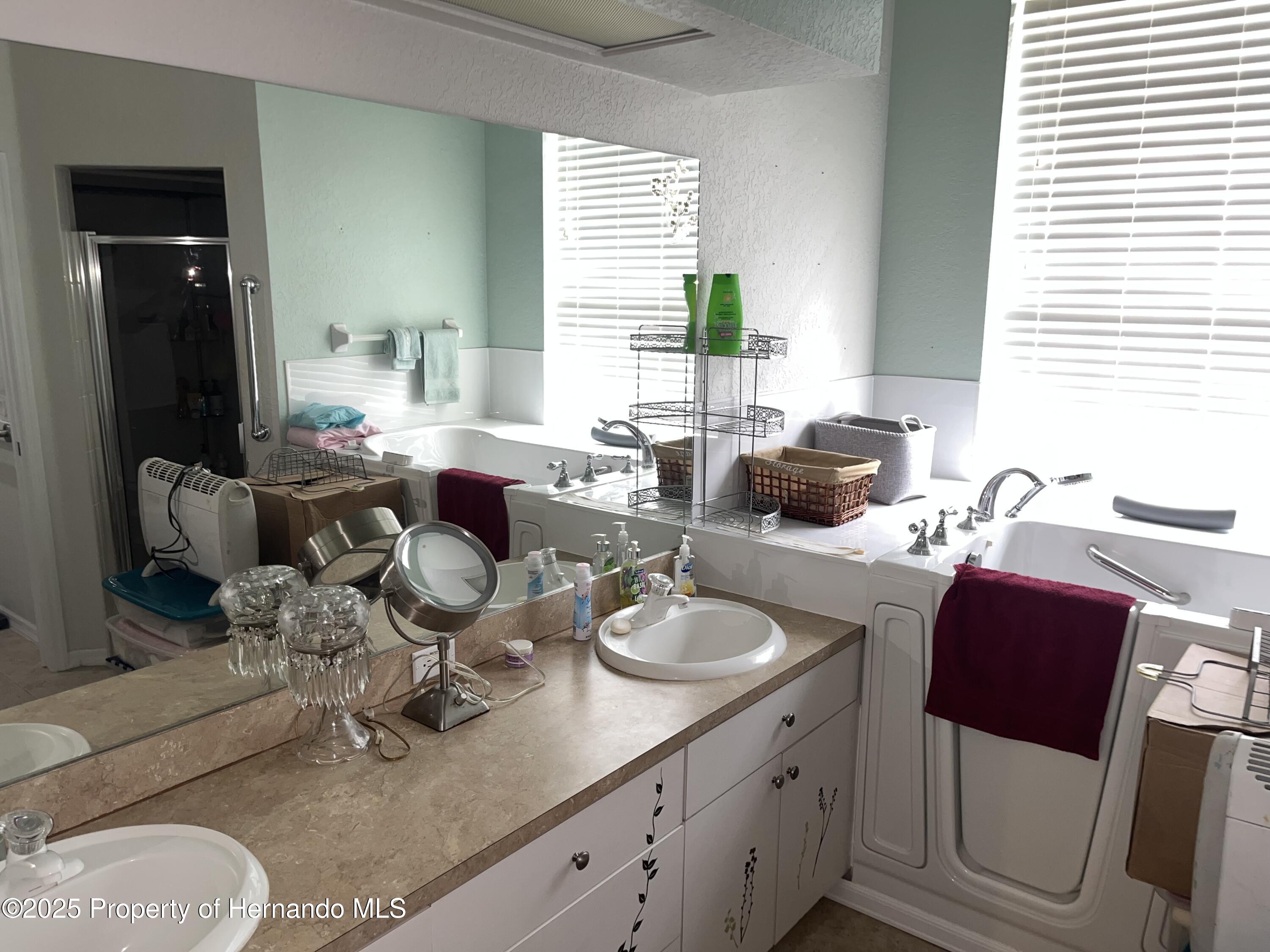 15425 Sonora Drive, Brooksville, Florida image 7