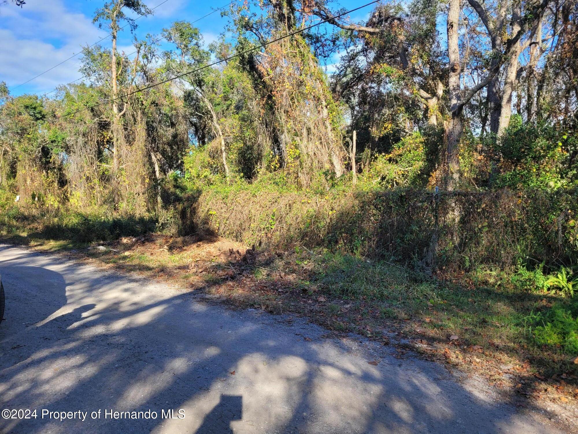 10934 Leon Street, New Port Richey, Florida image 4