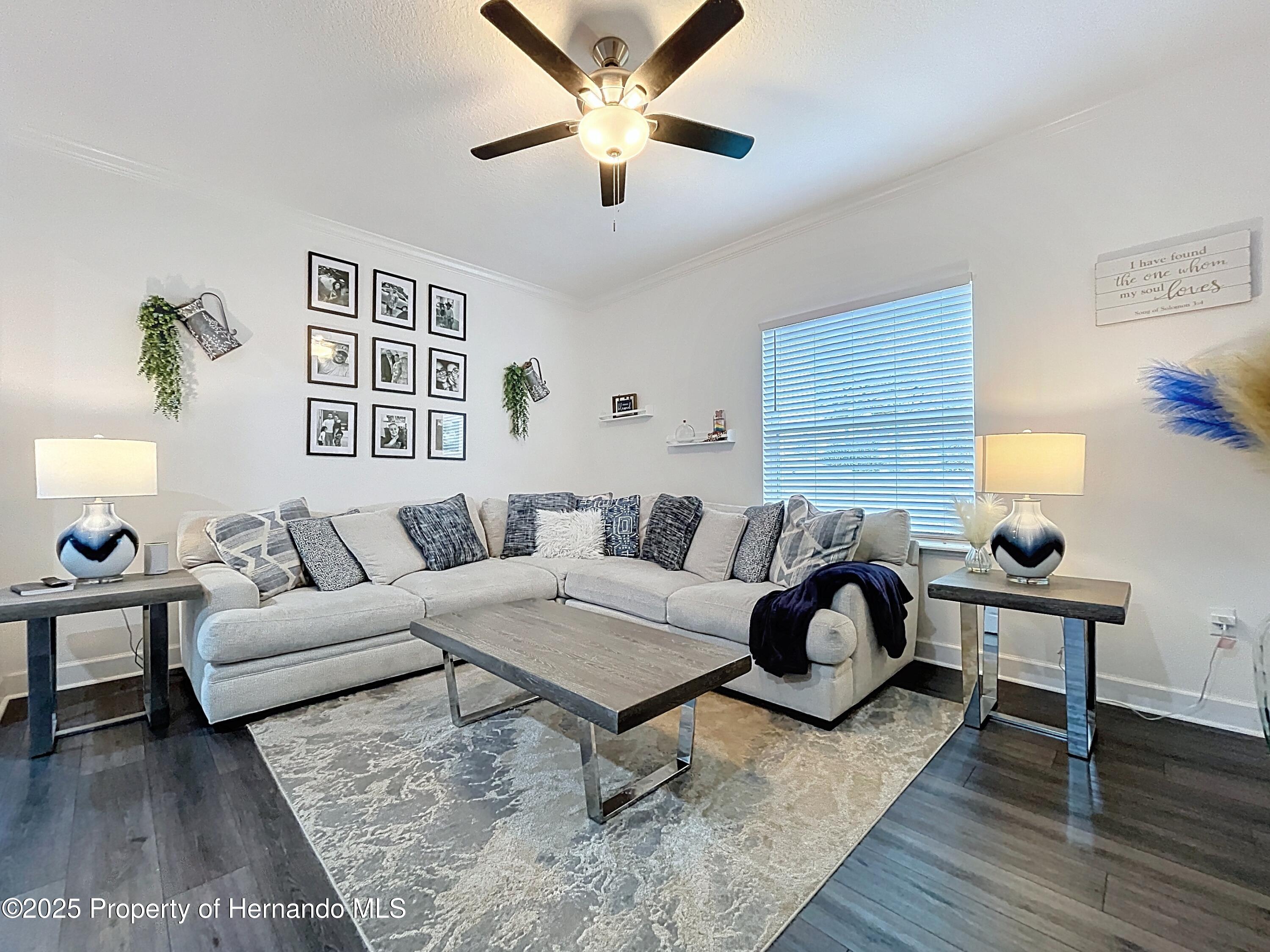 13161 Meinert Avenue, Weeki Wachee, Florida image 10