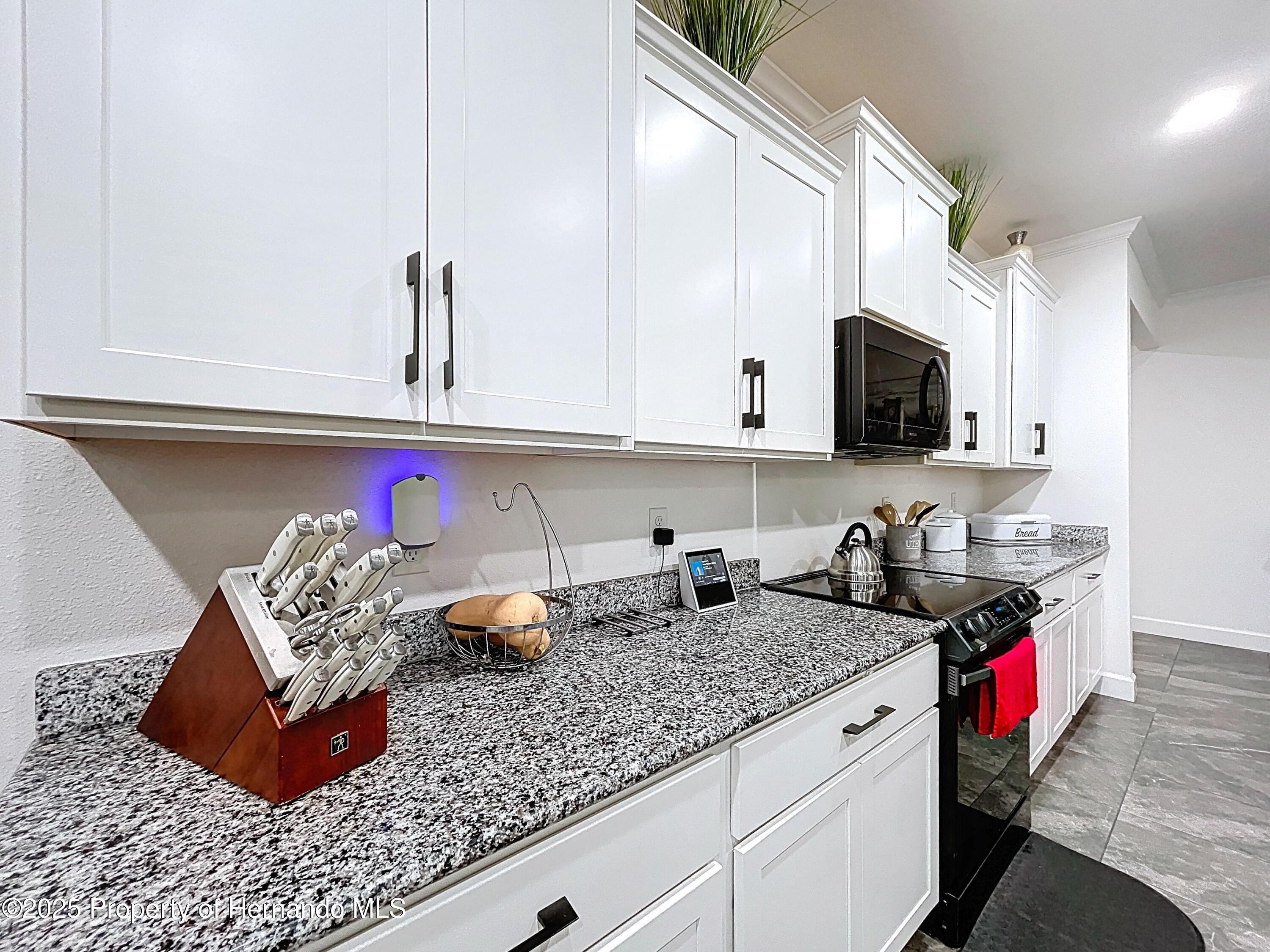 13161 Meinert Avenue, Weeki Wachee, Florida image 37
