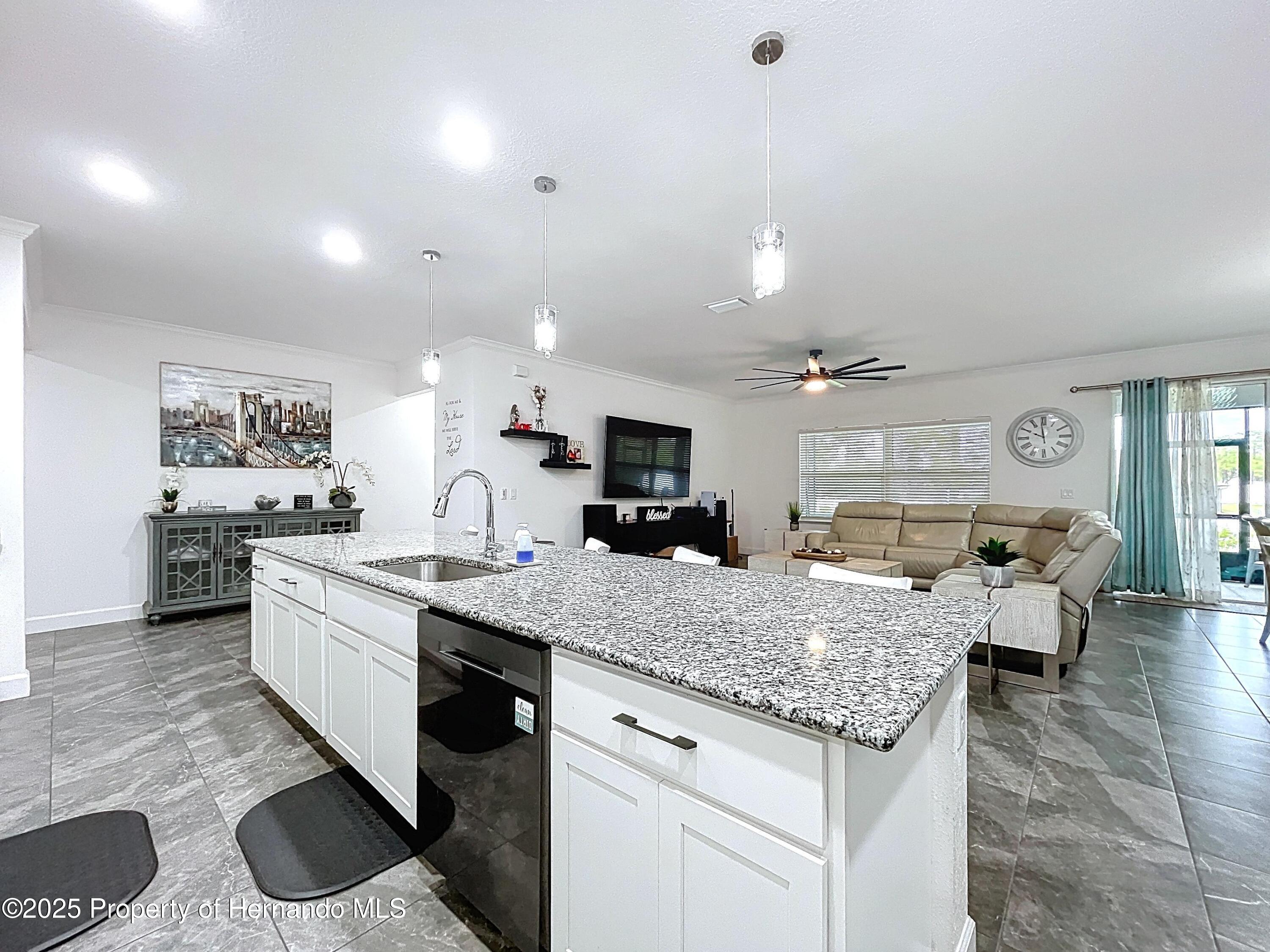 13161 Meinert Avenue, Weeki Wachee, Florida image 34