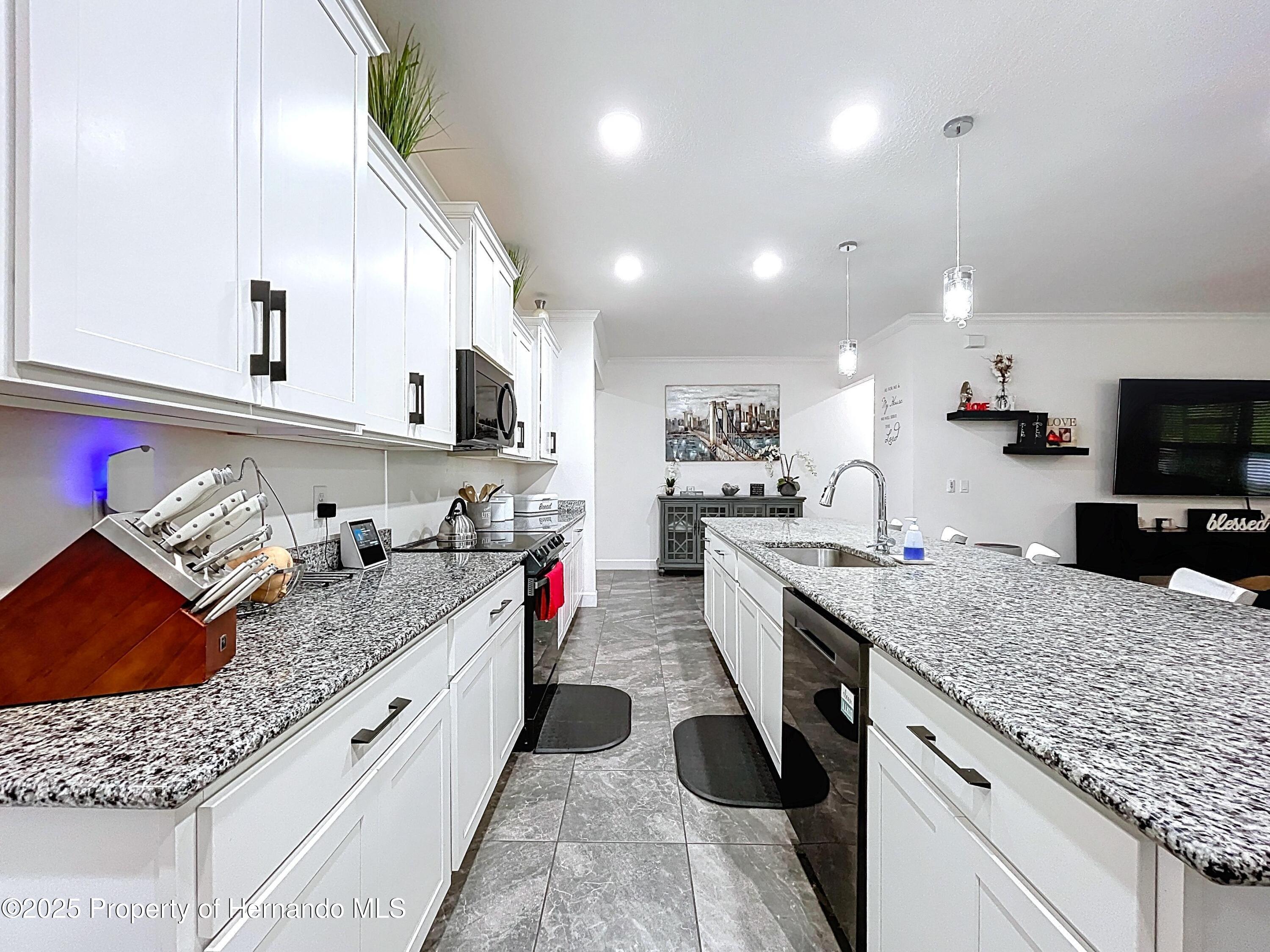 13161 Meinert Avenue, Weeki Wachee, Florida image 36