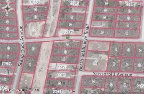 Vacant Land For Sale - 0000 Thrasher Avenue<br/> Brooksville, FL 34614