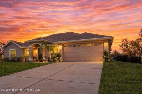 Homes For Sale - 11428 Pelican Avenue<br/> Brooksville, FL 34614