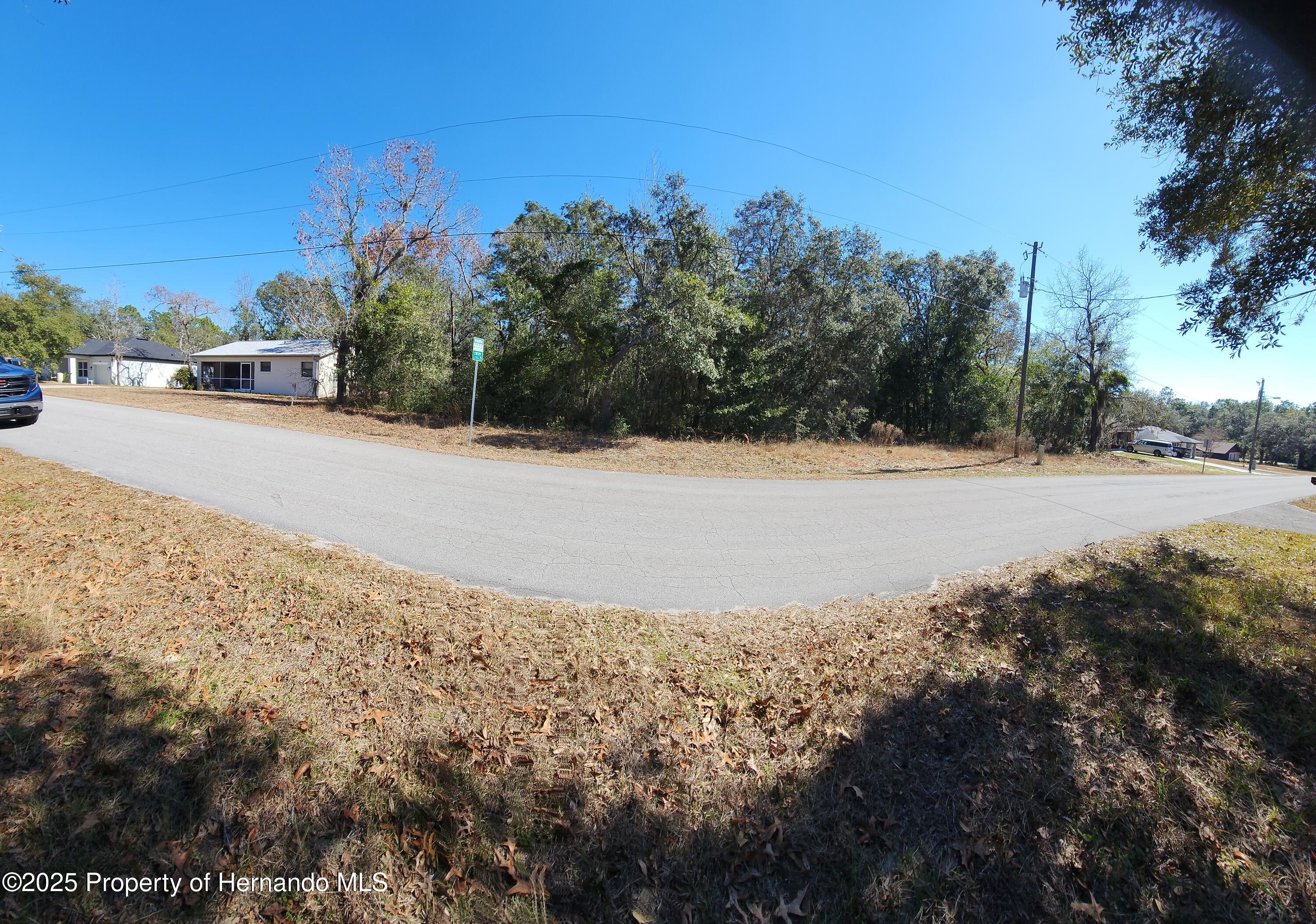 47 N Fitzpatrick Avenue, Inverness, Florida image 3