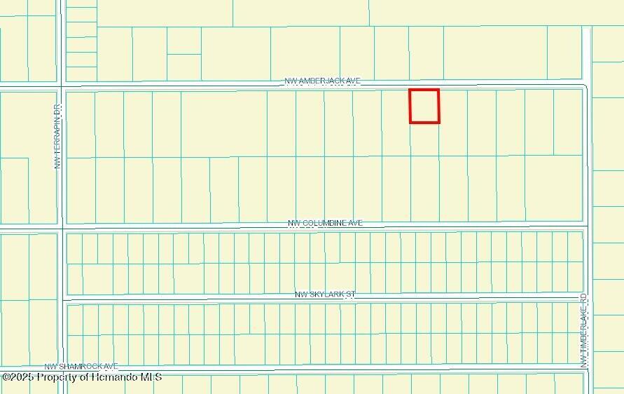 447358 Nw Amberjack Avenue, Dunnellon, Florida image 2