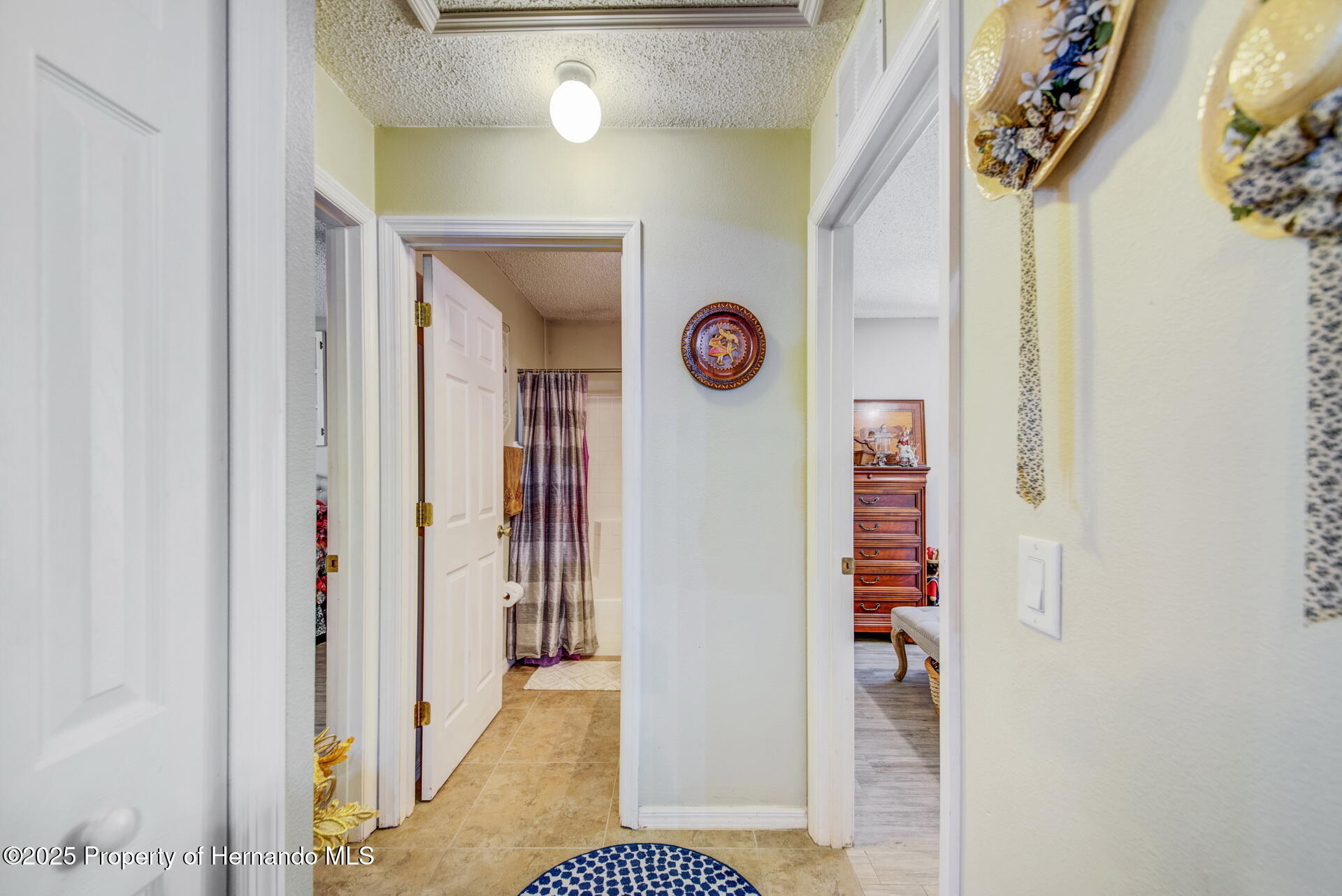 13317 Pinellas Avenue, Spring Hill, Florida image 31