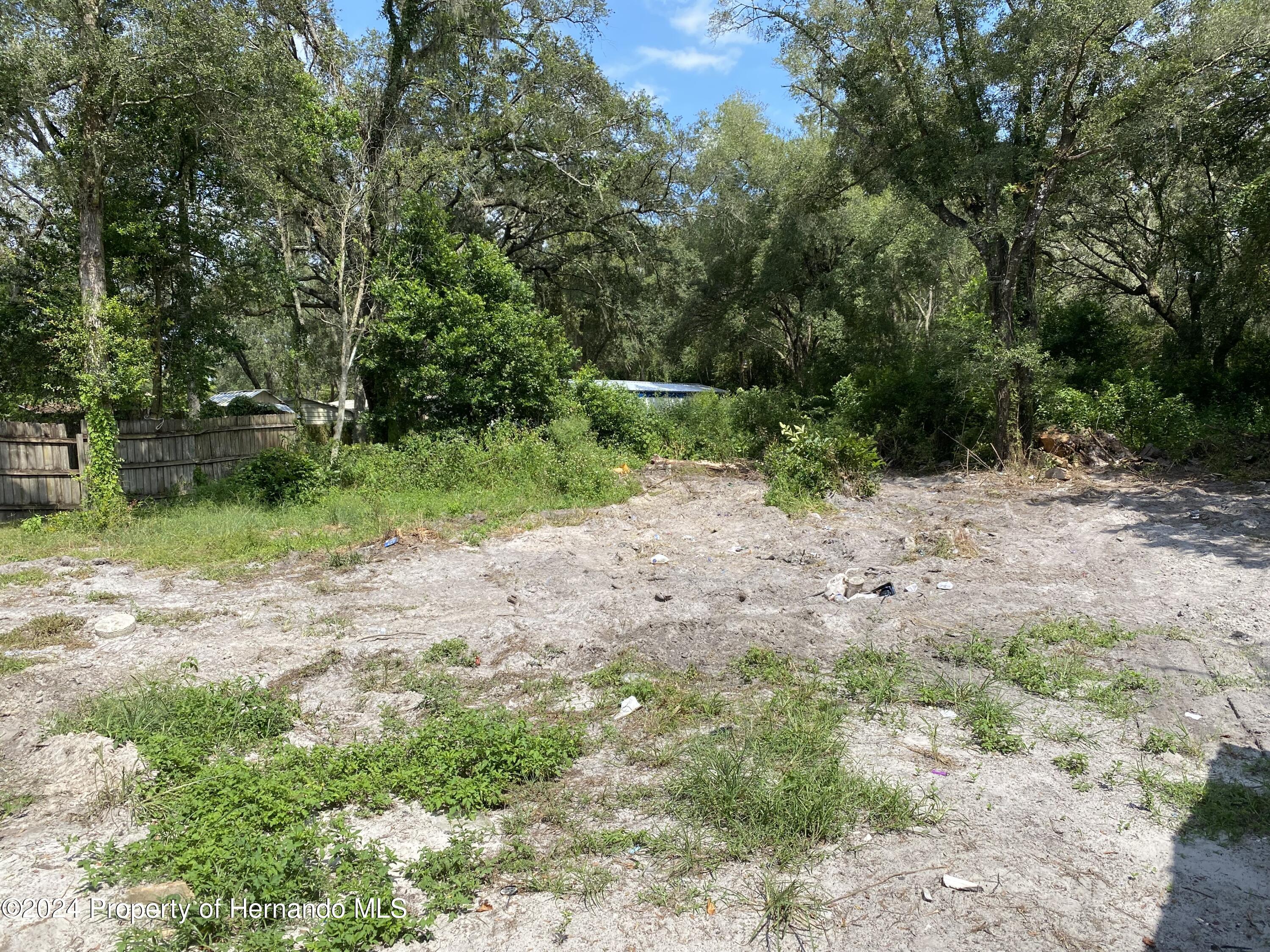 4332 Pocahontas Drive, Dade City, Florida image 8