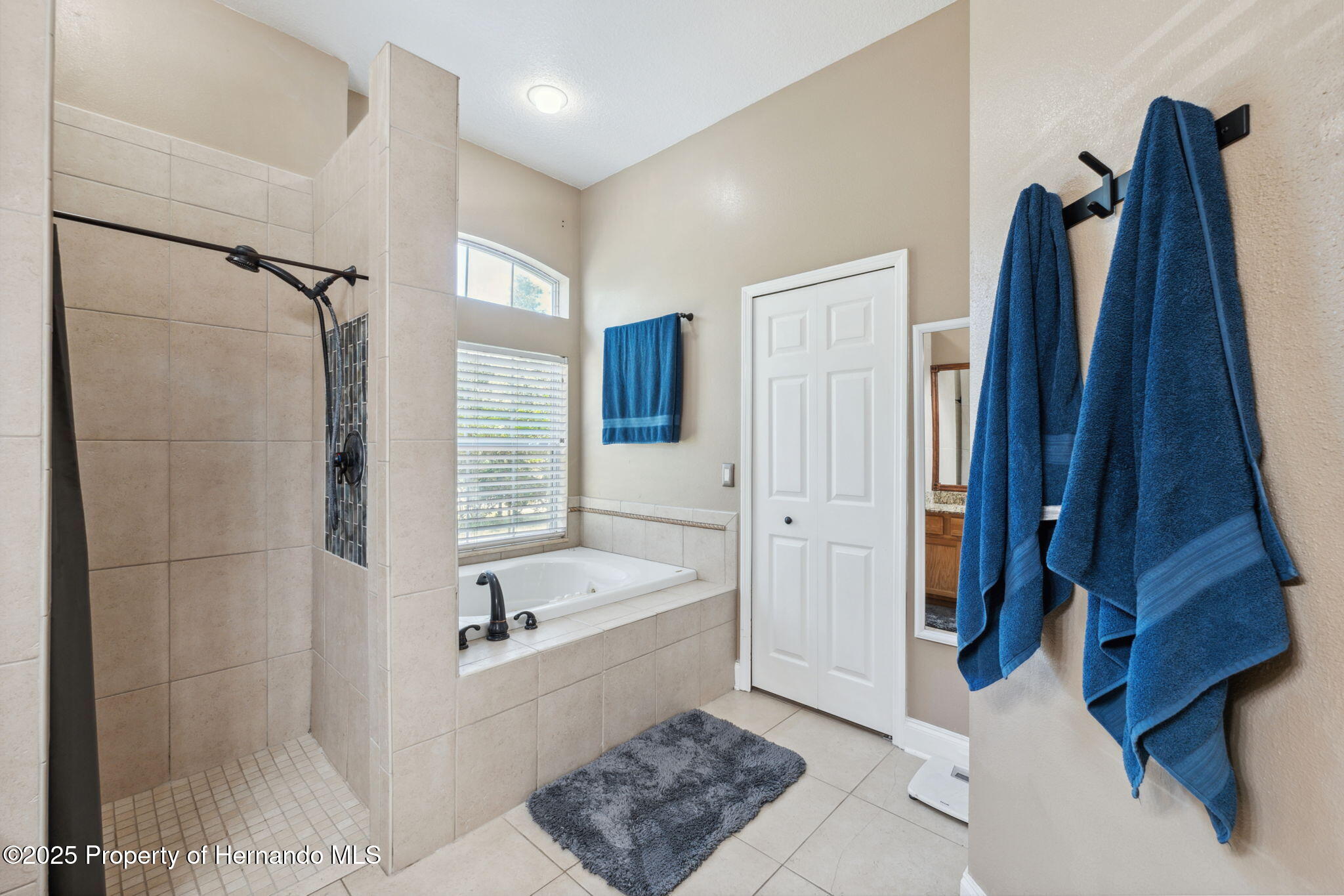 10 S Boxleaf Court, Homosassa, Florida image 29