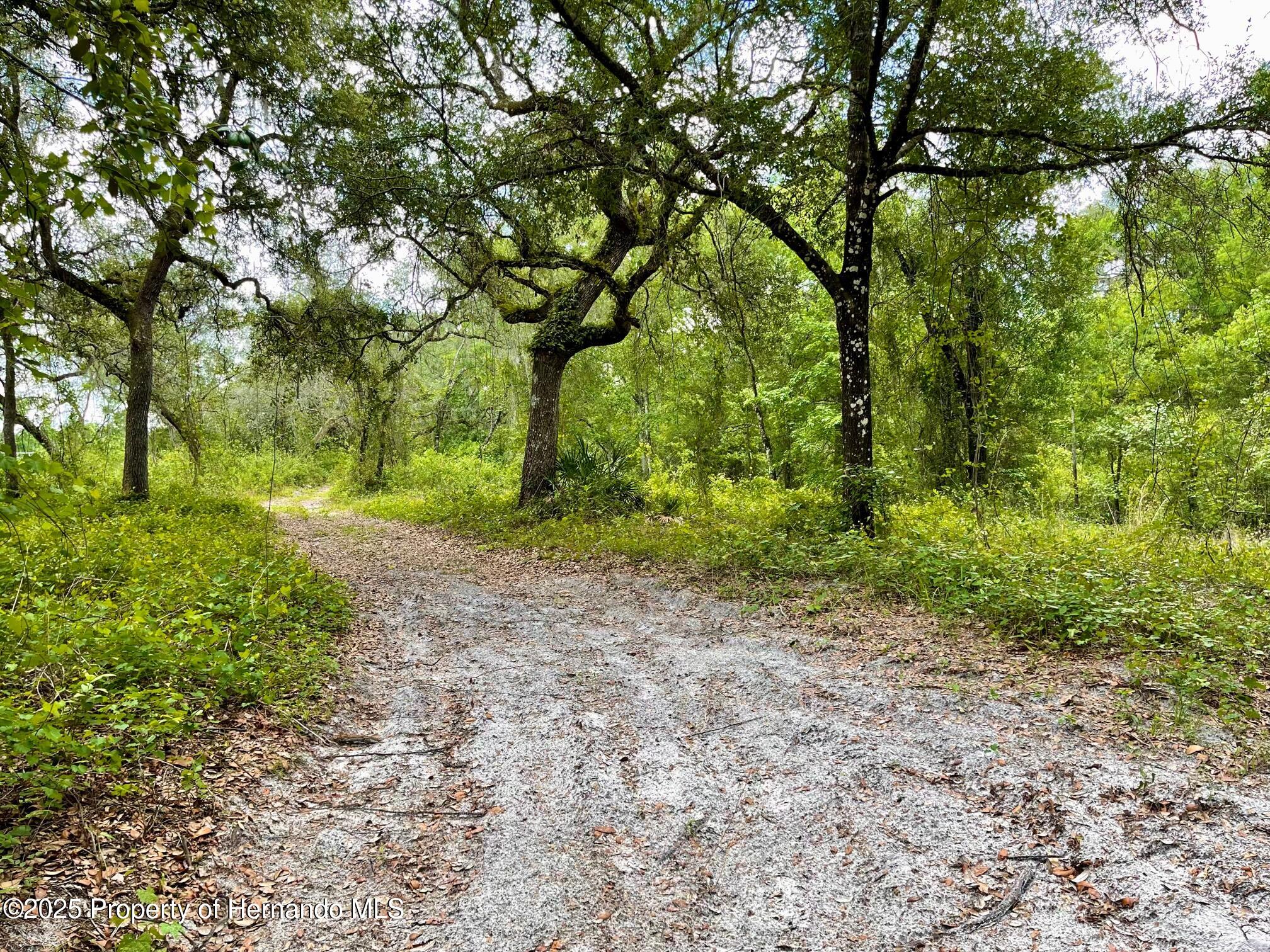 TBD Cortez Boulevard, Dade City, Florida image 4