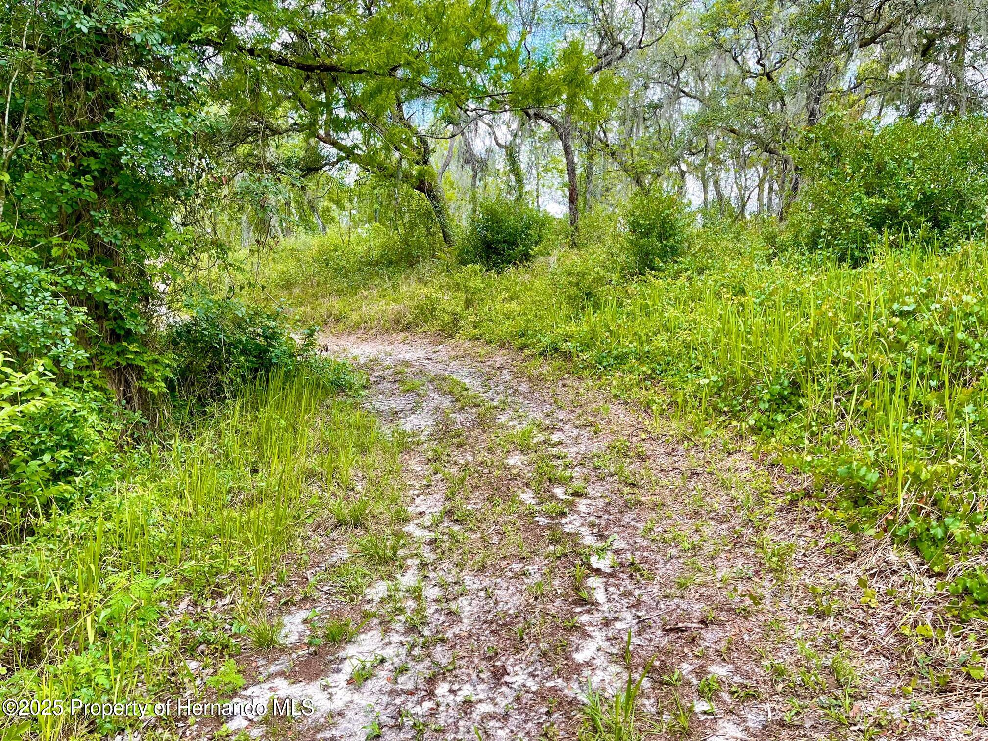 TBD Cortez Boulevard, Dade City, Florida image 7