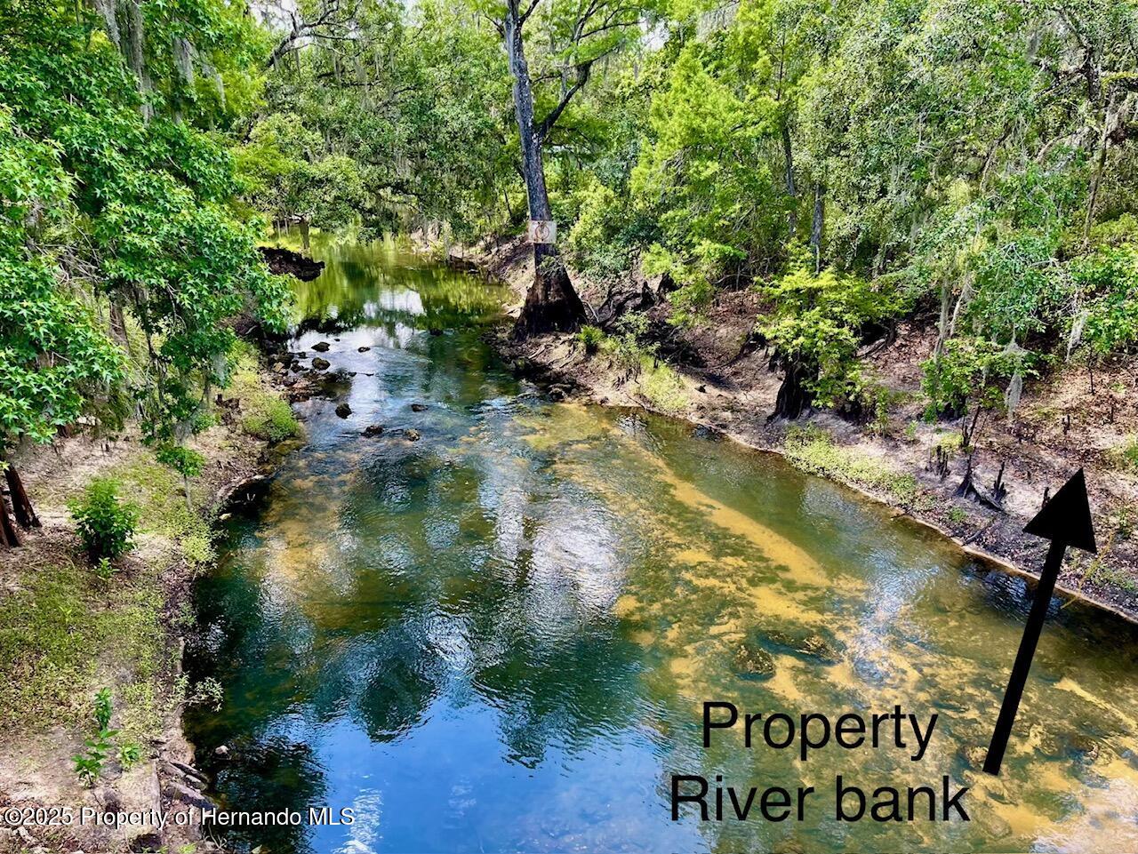 TBD Cortez Boulevard, Dade City, Florida image 1