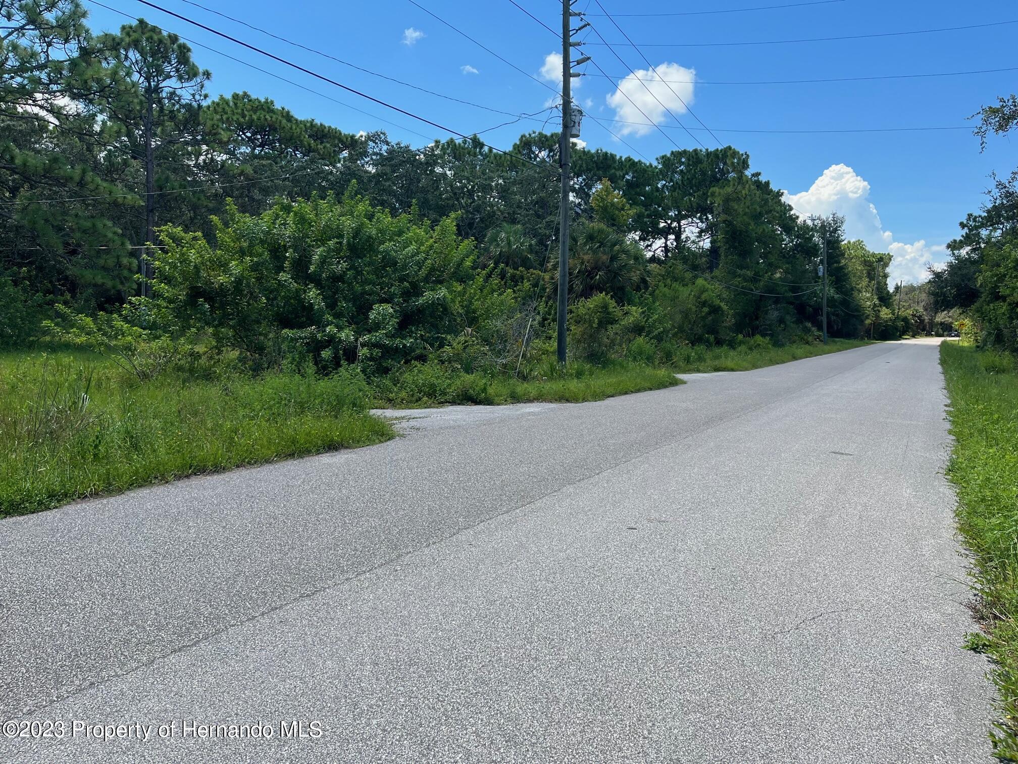 18904 Craig Loop, Hudson, Florida image 12