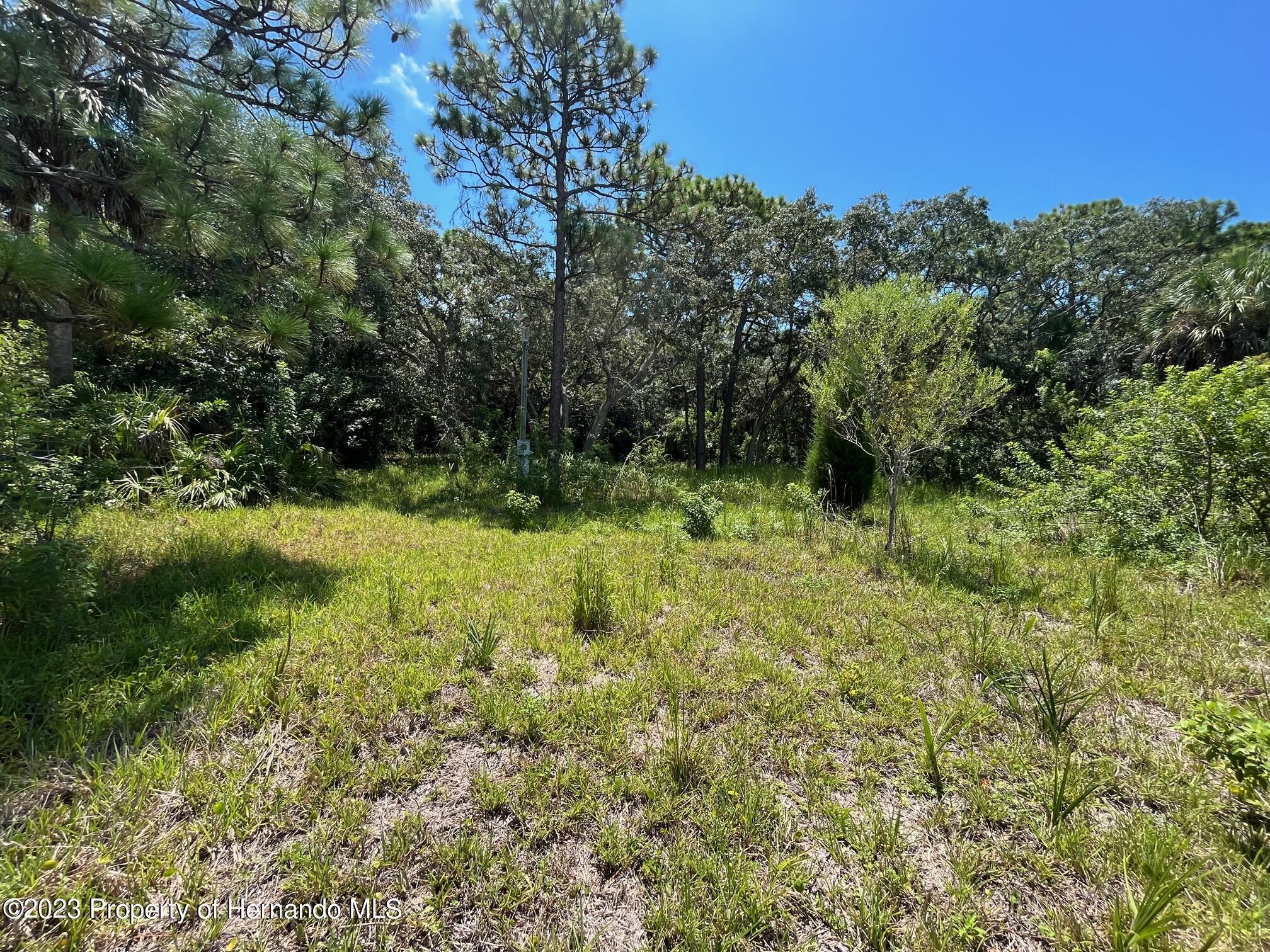 18904 Craig Loop, Hudson, Florida image 14