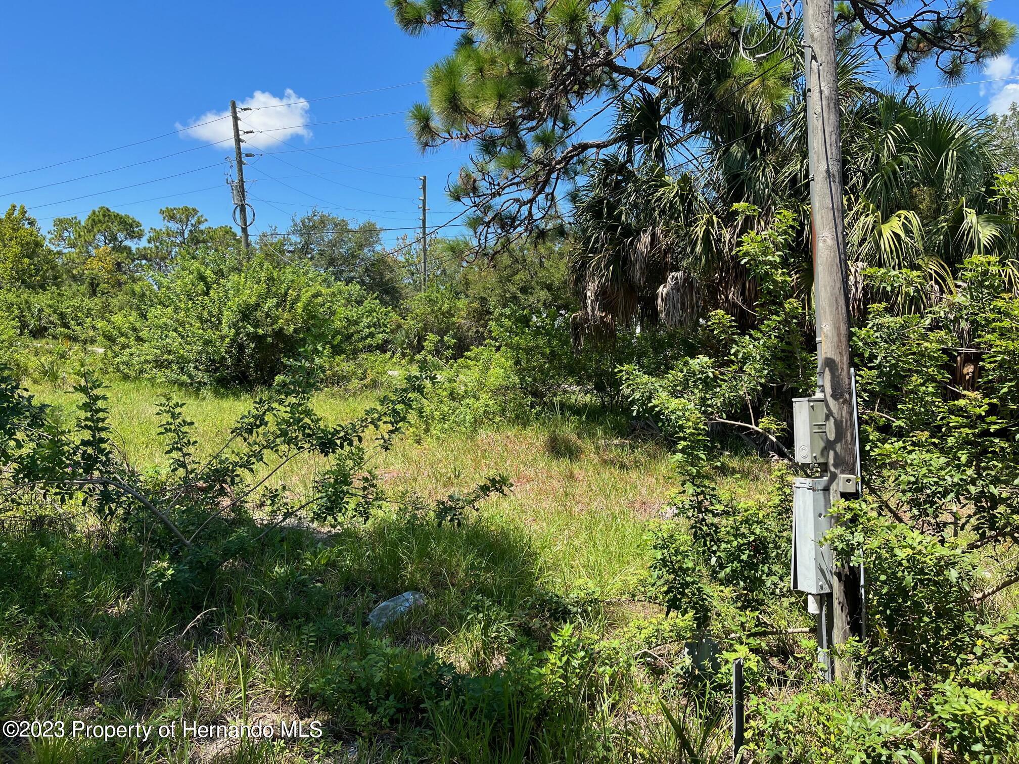 18904 Craig Loop, Hudson, Florida image 9