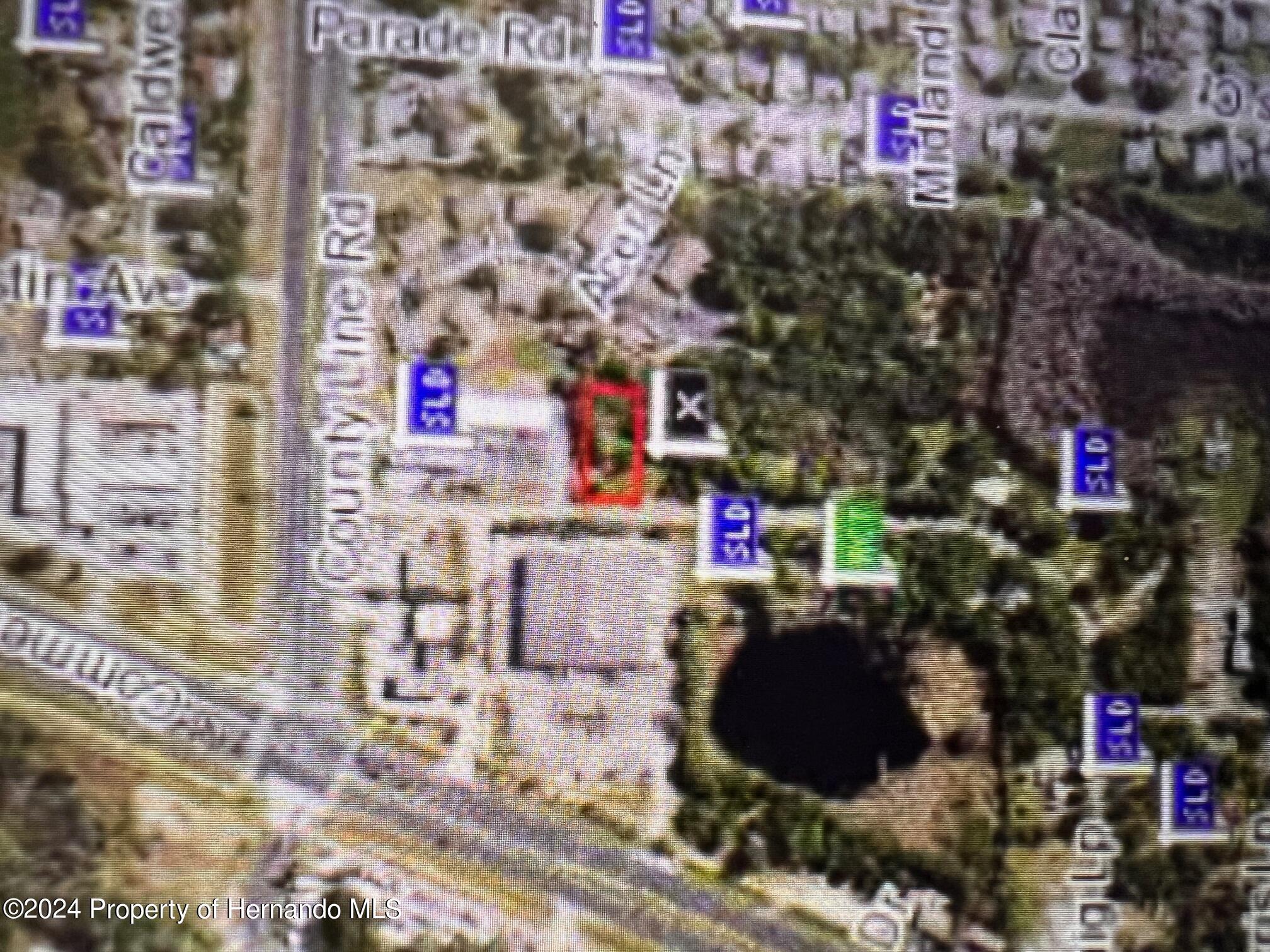 18904 Craig Loop, Hudson, Florida image 2