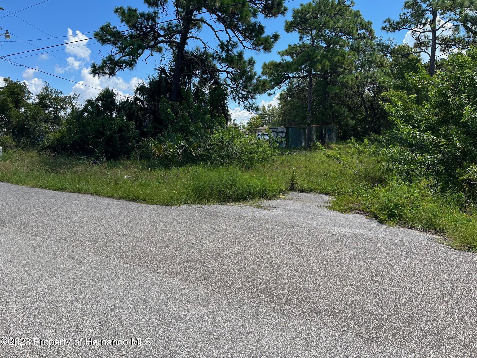 18904 Craig Loop, Hudson, Florida image 11