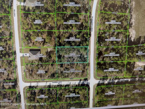 Vacant Land For Sale - Honeycreeper Road<br/> Brooksville, FL 34614