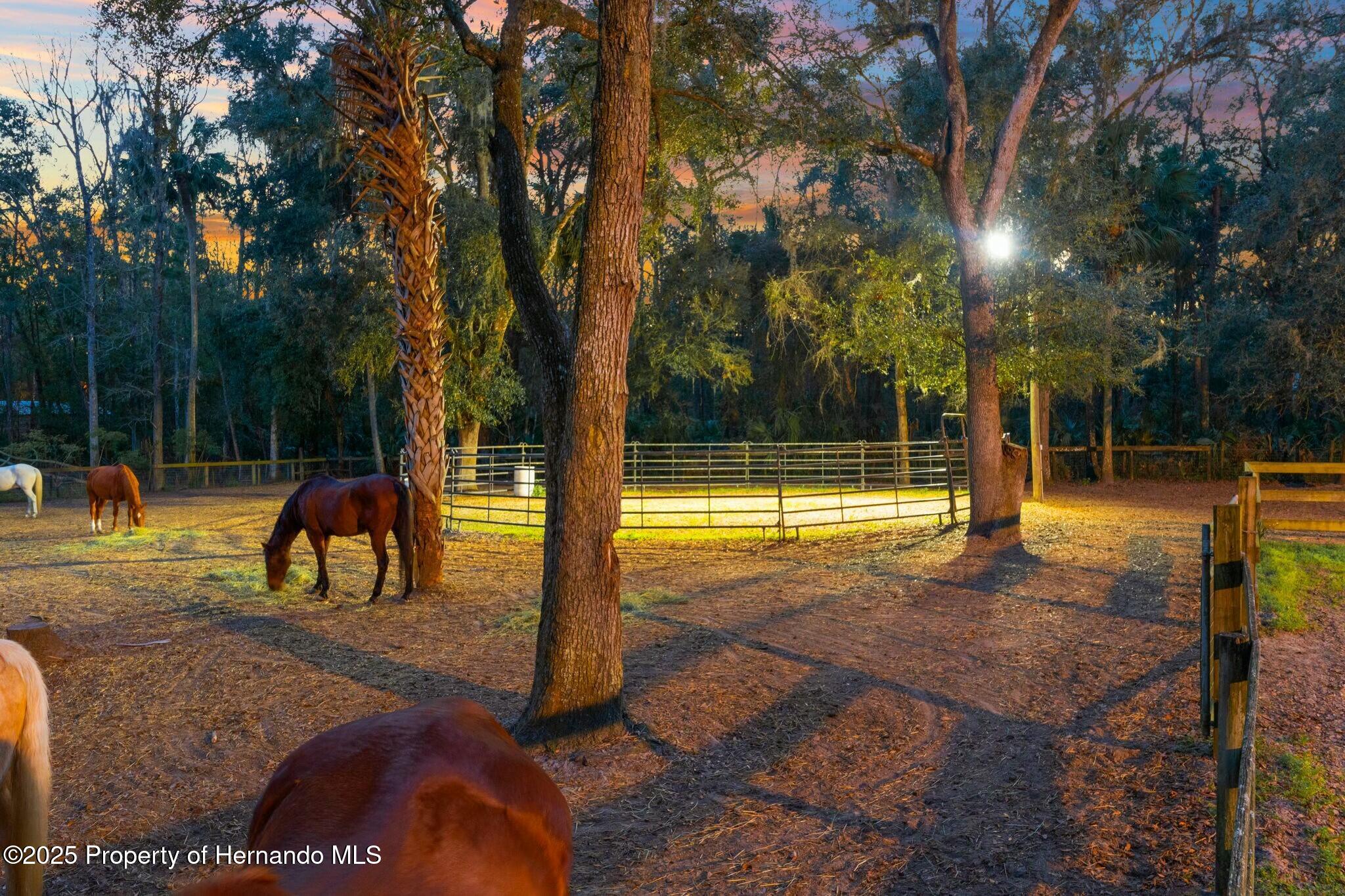 5329 Utopia Place, Brooksville, Florida image 43