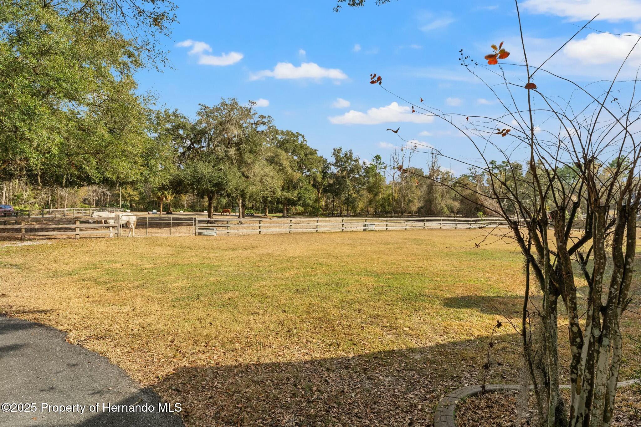 5329 Utopia Place, Brooksville, Florida image 46
