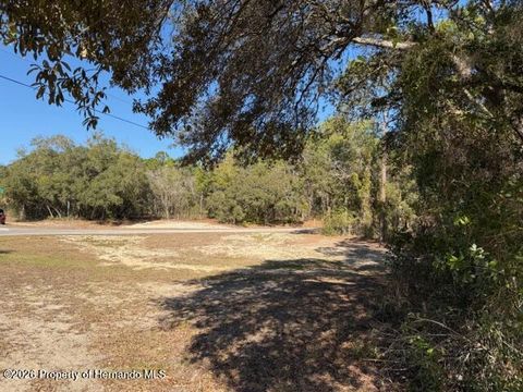 Vacant Land For Sale - 1936 W Tacoma Street<br/> Hernando, FL 34442