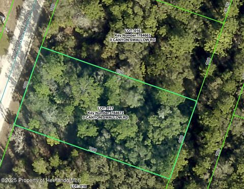 Vacant Land For Sale - LOT 17 Canyon Swallow Road<br/> Weeki Wachee, FL 34614
