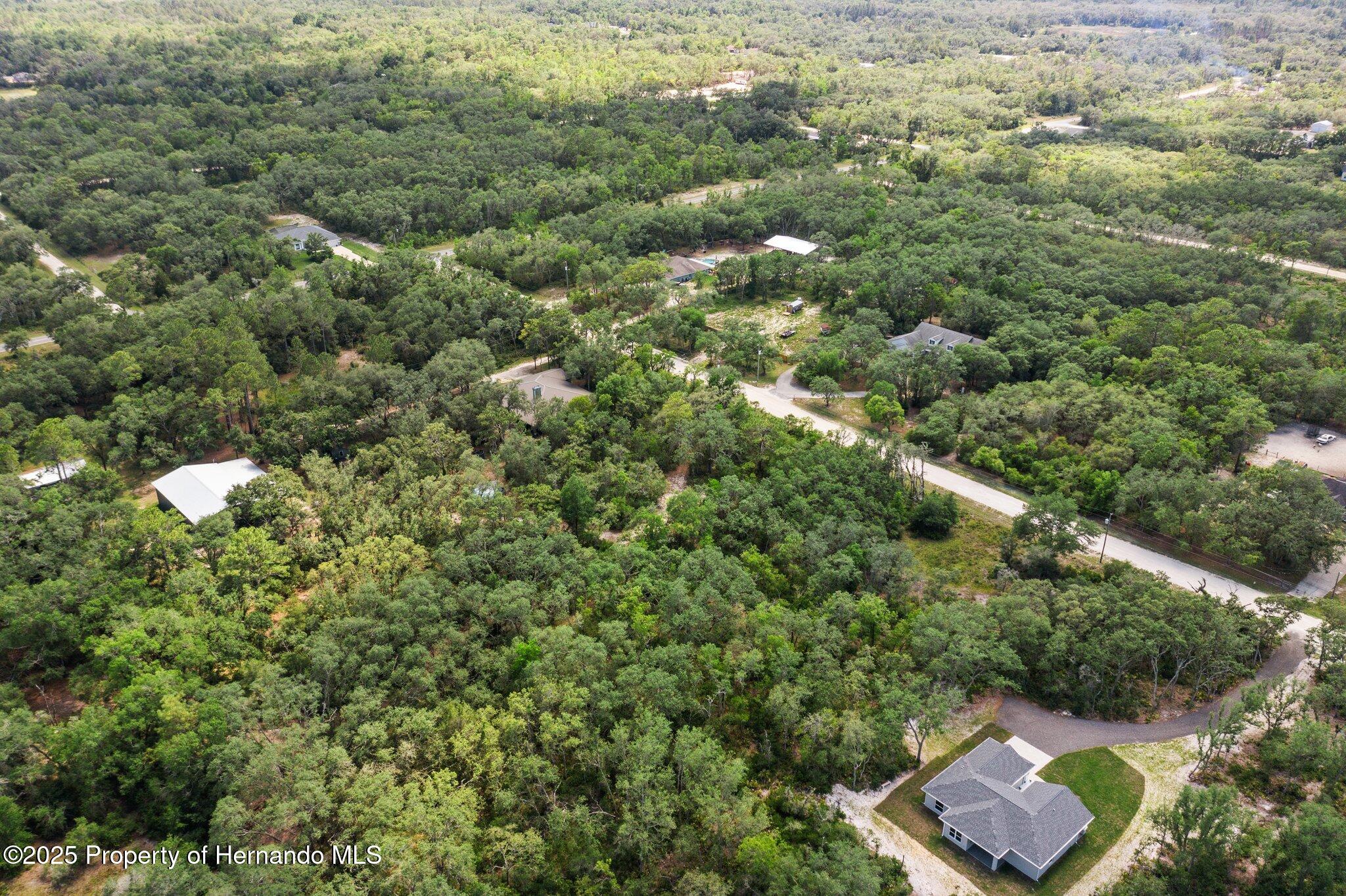 8184 Chimney Rock Drive, Webster, Florida image 10