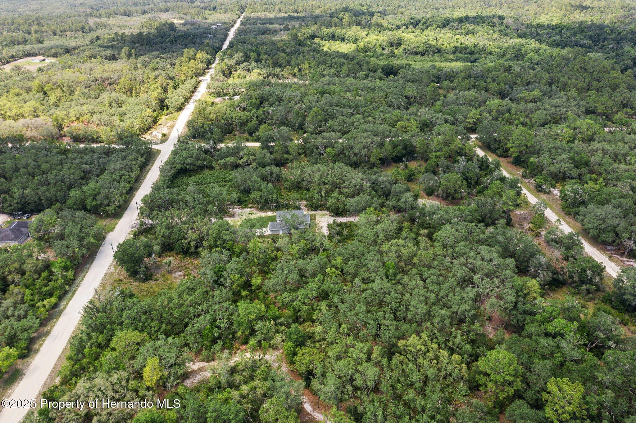 8184 Chimney Rock Drive, Webster, Florida image 13