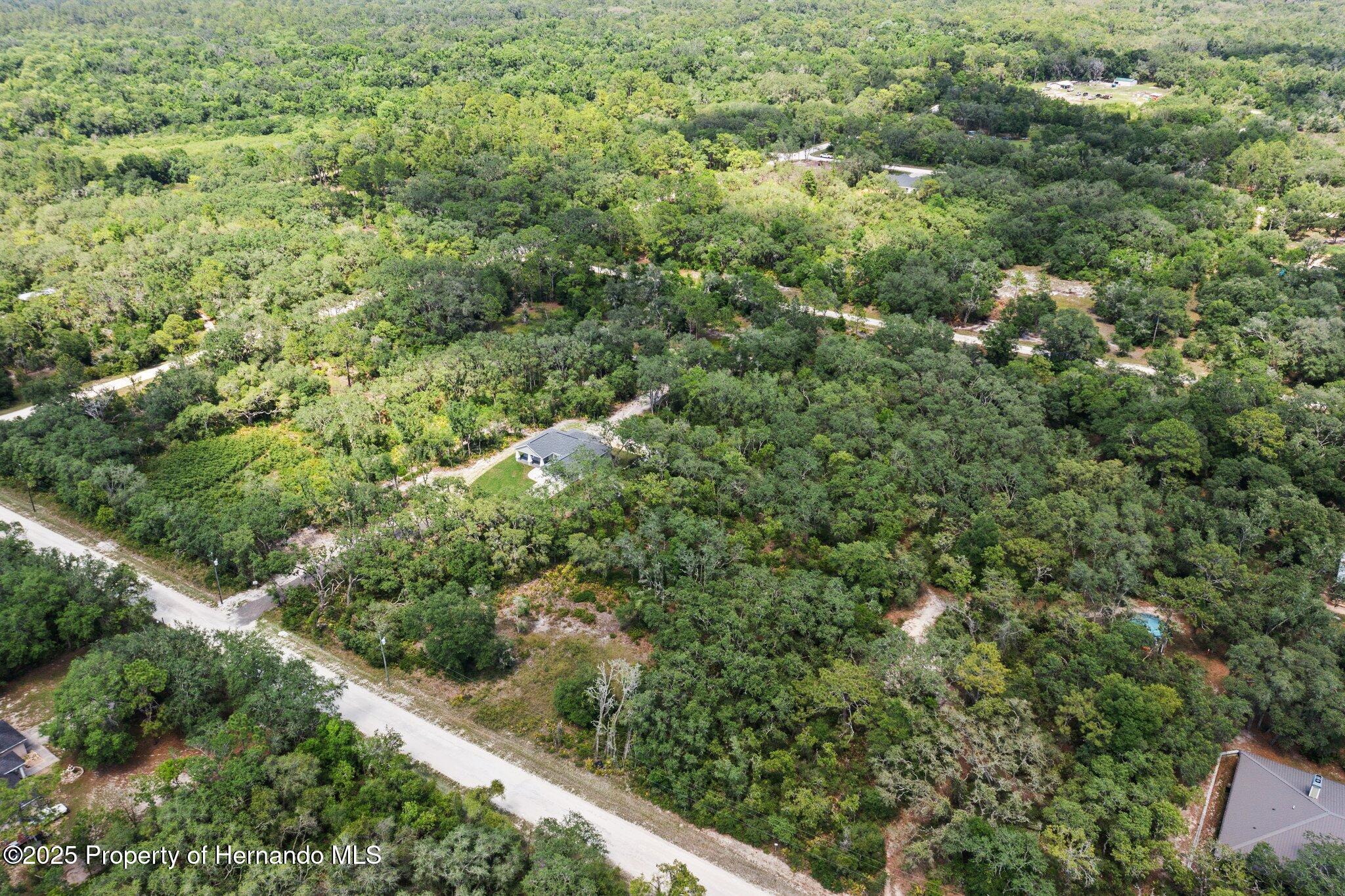 8184 Chimney Rock Drive, Webster, Florida image 7