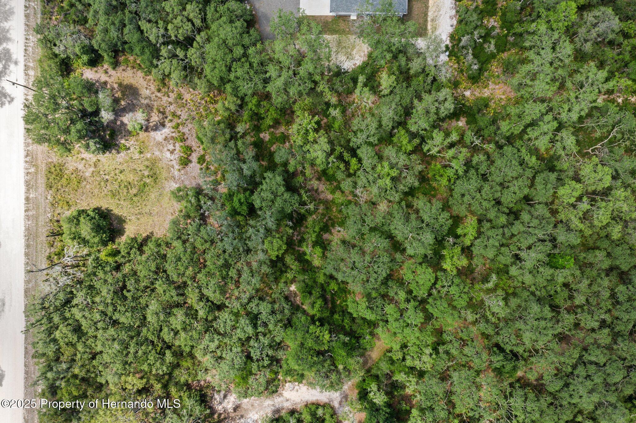 8184 Chimney Rock Drive, Webster, Florida image 15