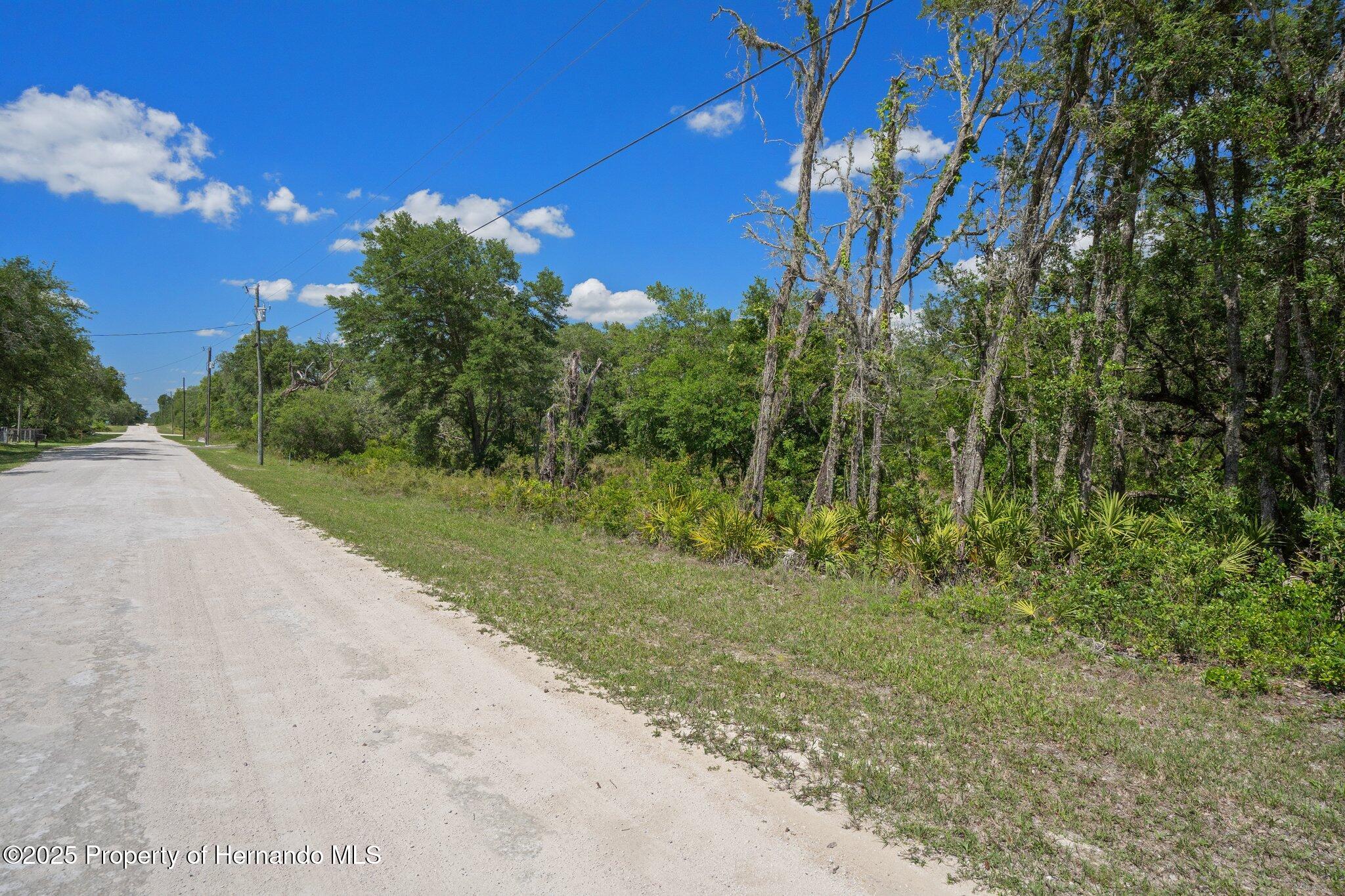 8184 Chimney Rock Drive, Webster, Florida image 16