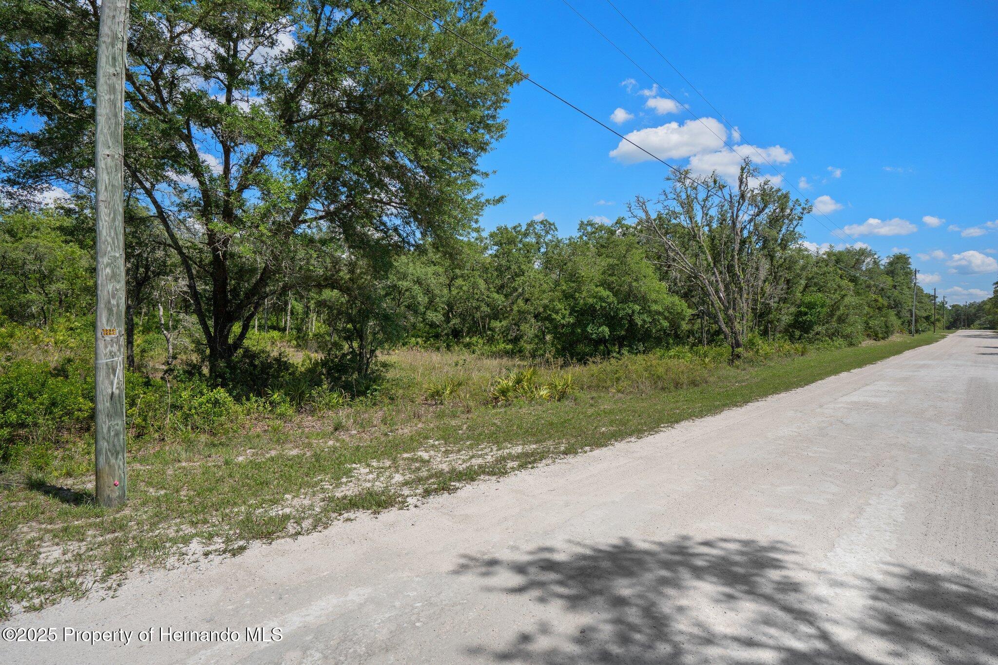 8184 Chimney Rock Drive, Webster, Florida image 17