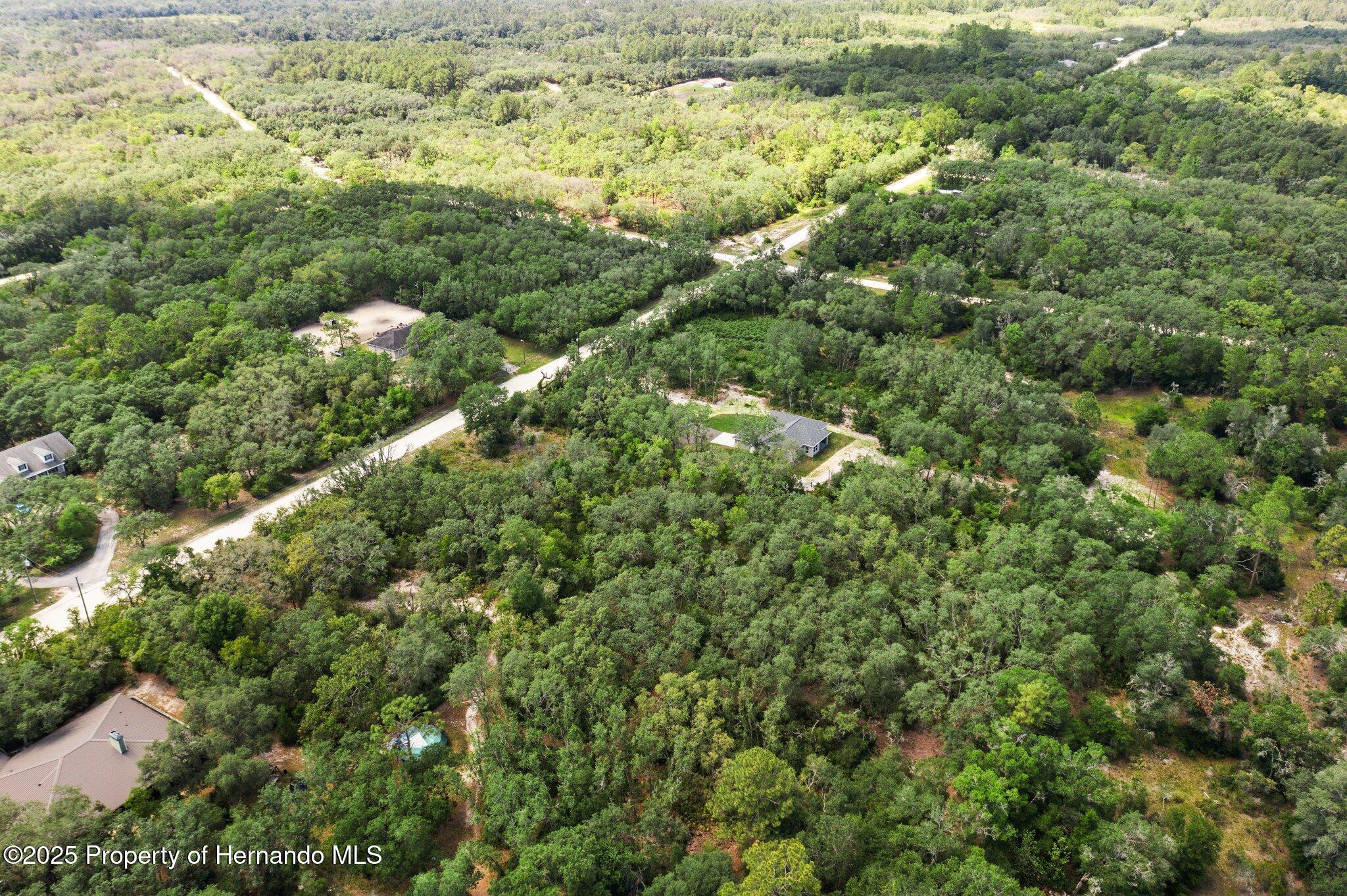 8184 Chimney Rock Drive, Webster, Florida image 12