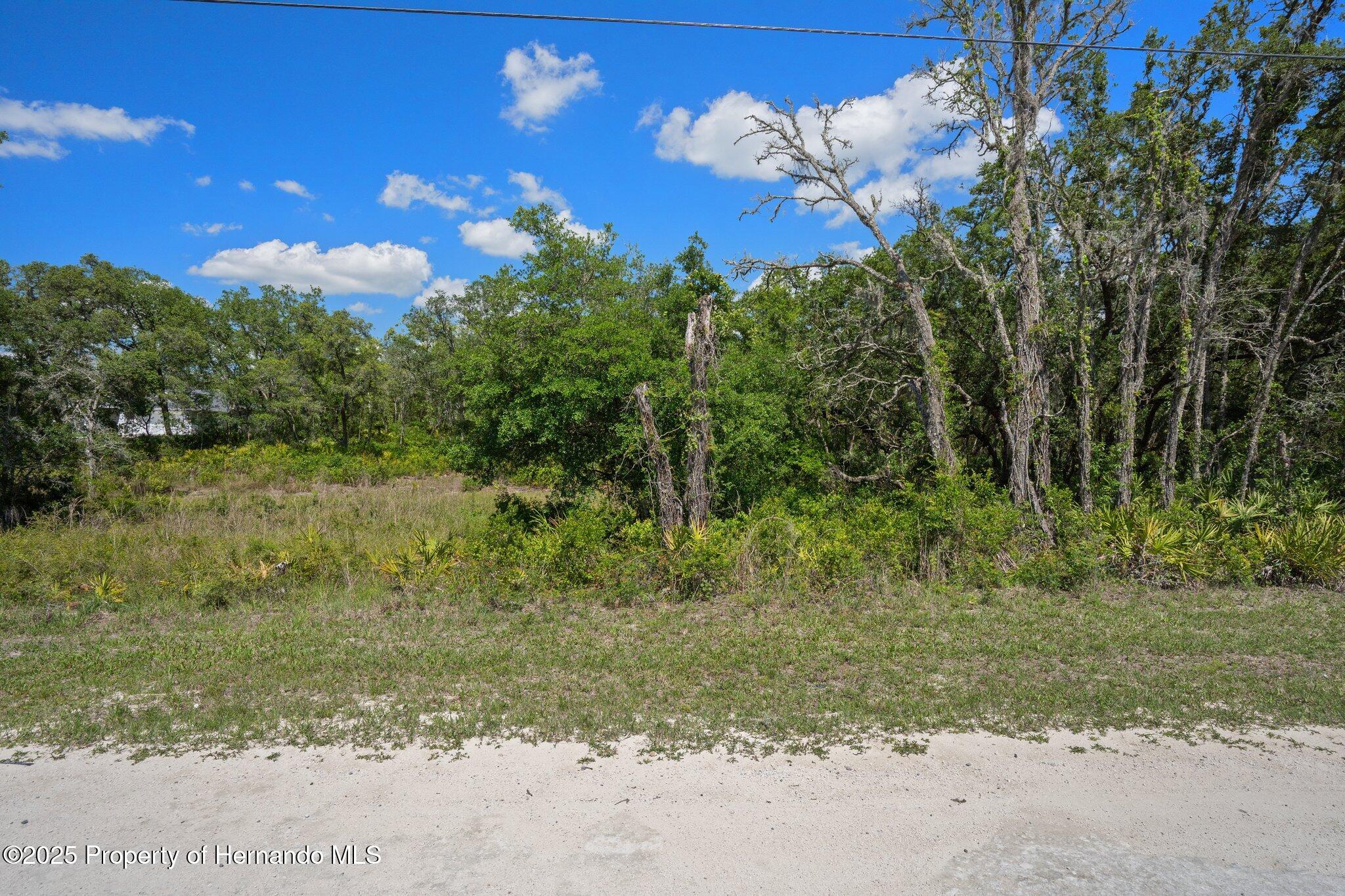 8184 Chimney Rock Drive, Webster, Florida image 18