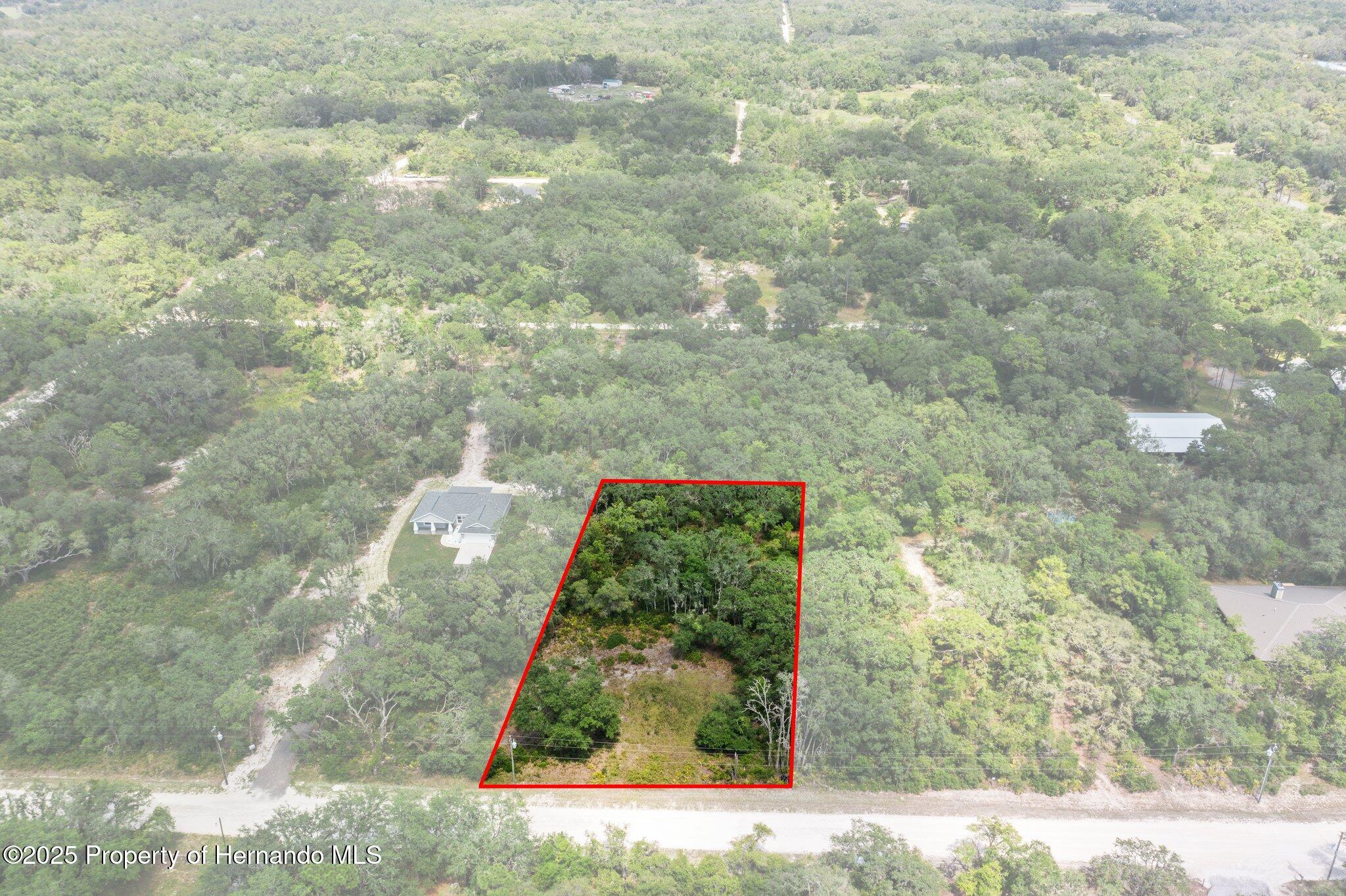 8184 Chimney Rock Drive, Webster, Florida image 1
