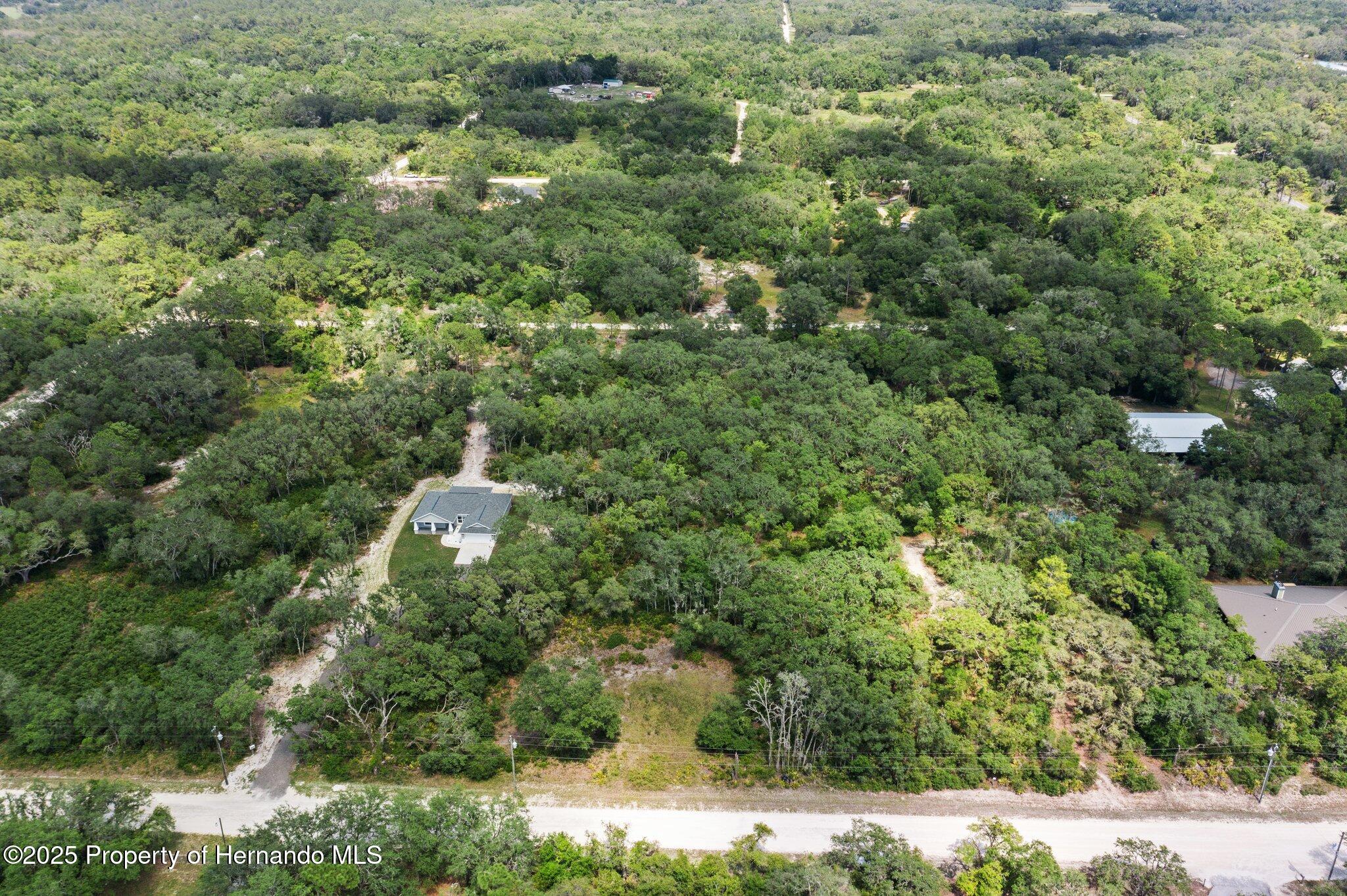 8184 Chimney Rock Drive, Webster, Florida image 6