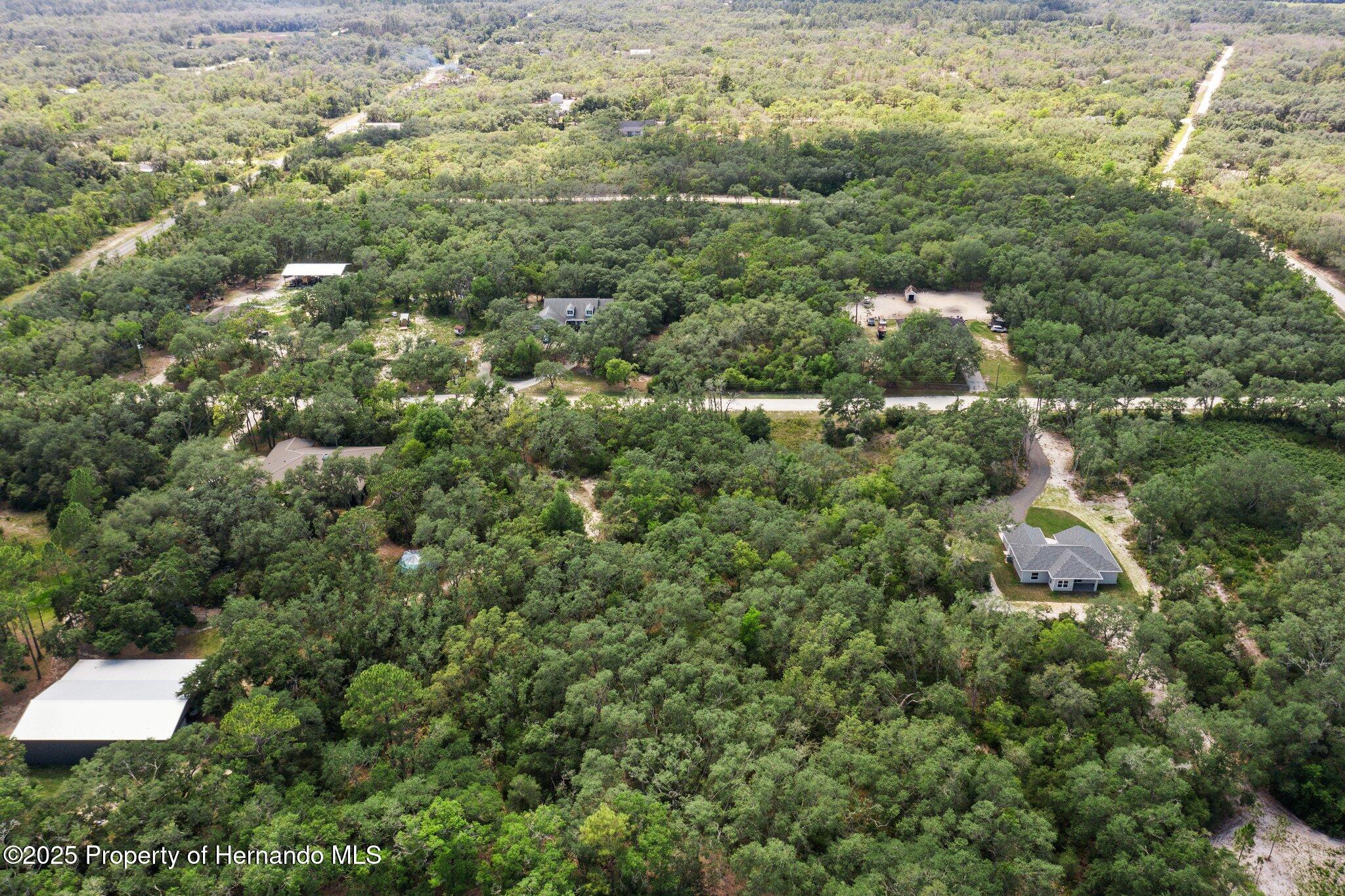 8184 Chimney Rock Drive, Webster, Florida image 11