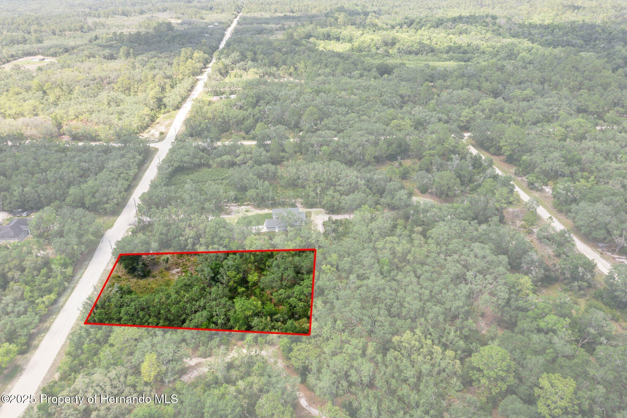 8184 Chimney Rock Drive, Webster, Florida image 5