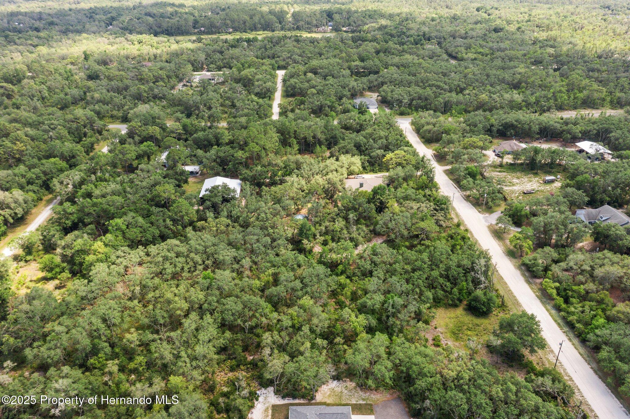 8184 Chimney Rock Drive, Webster, Florida image 9